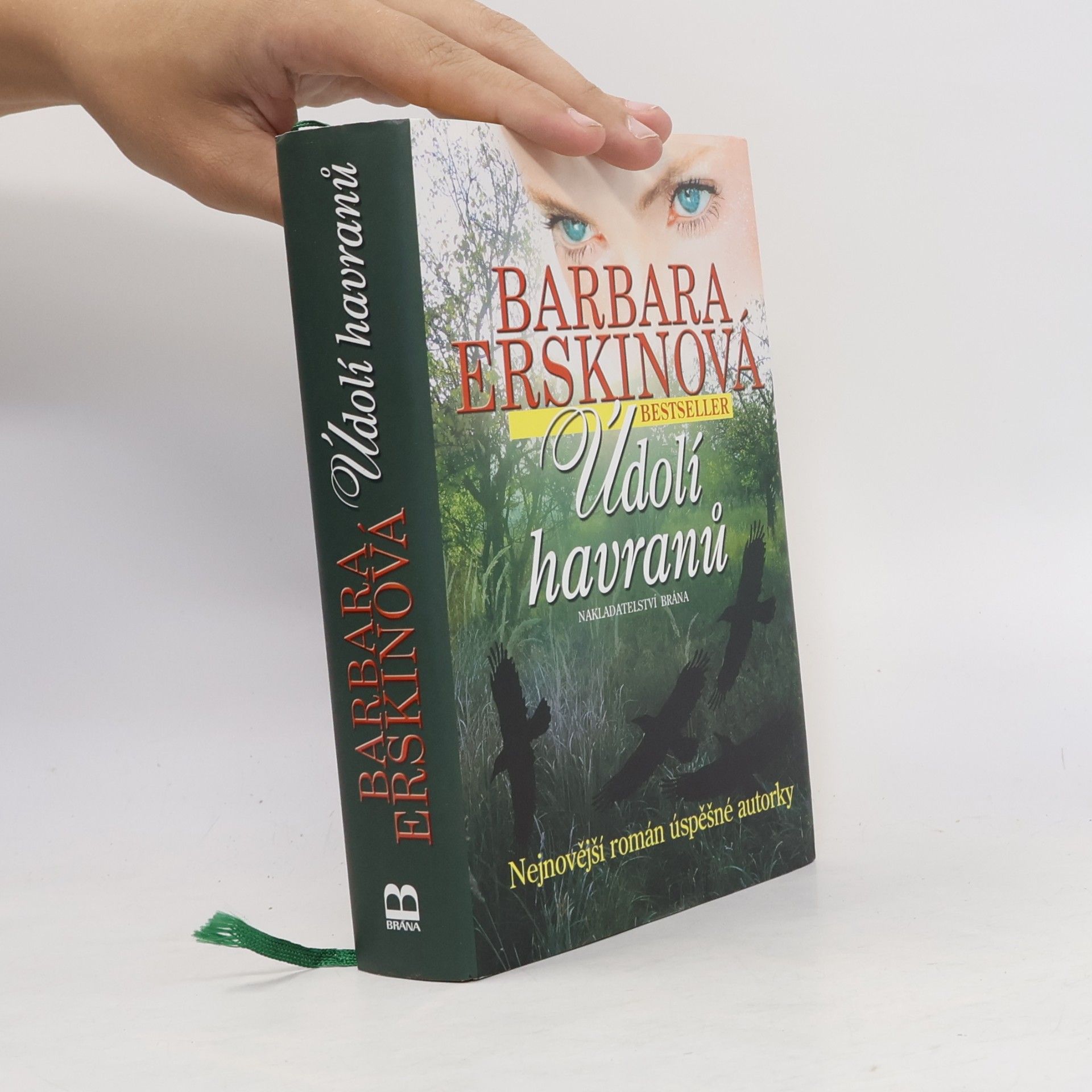 Barbara Erskine Údolí havranů
