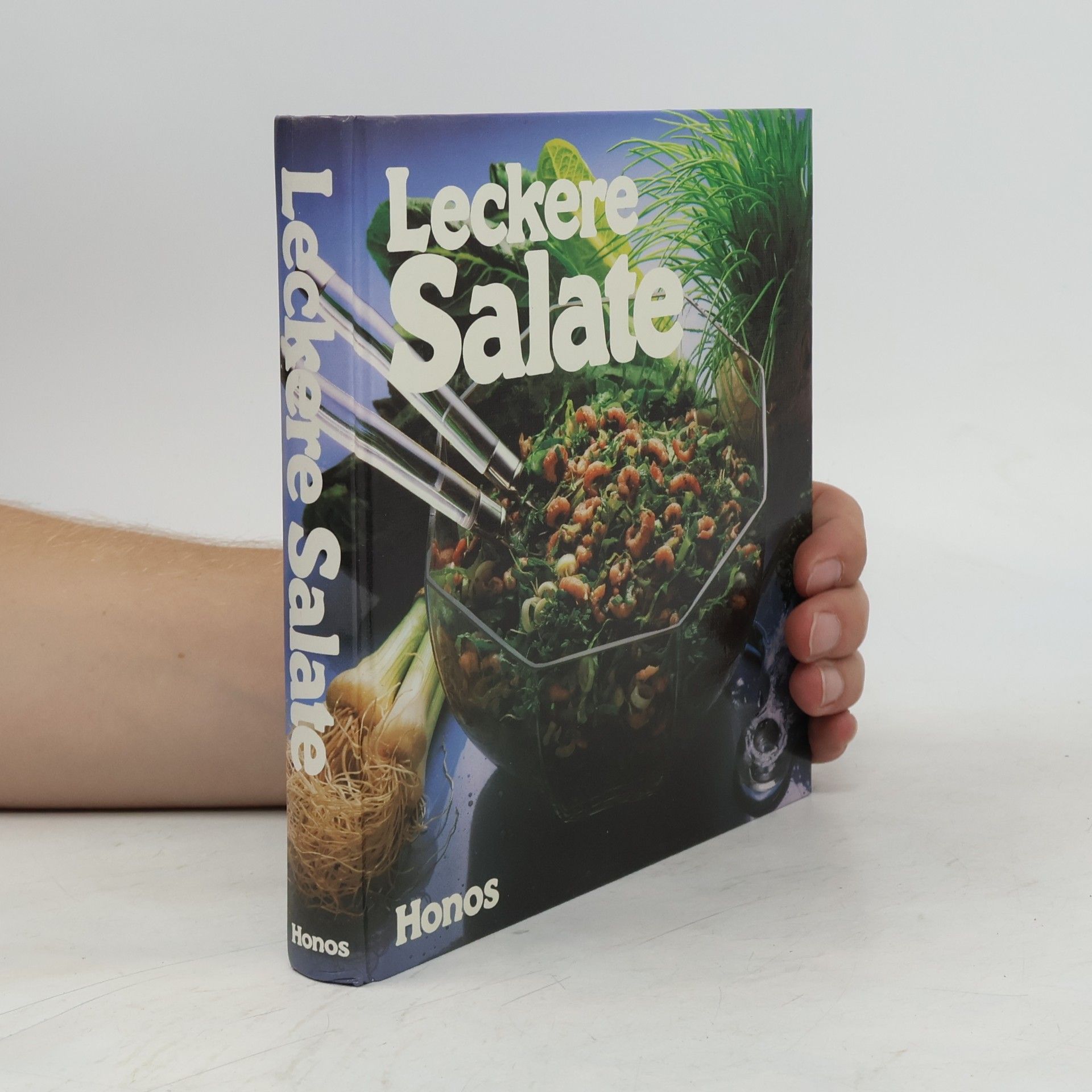 Kolektiv autorů Leckere Salate