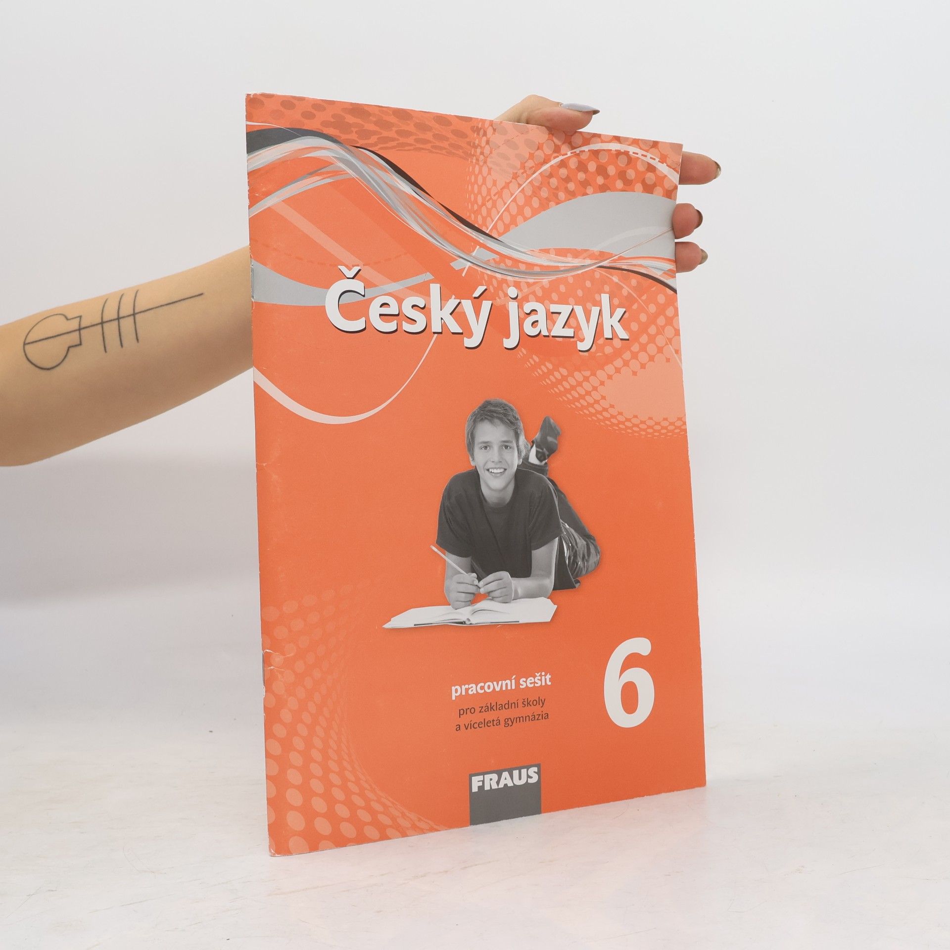 Český jazyk 6 : pracovní sešit : pro základní školy a víceletá gymnázia