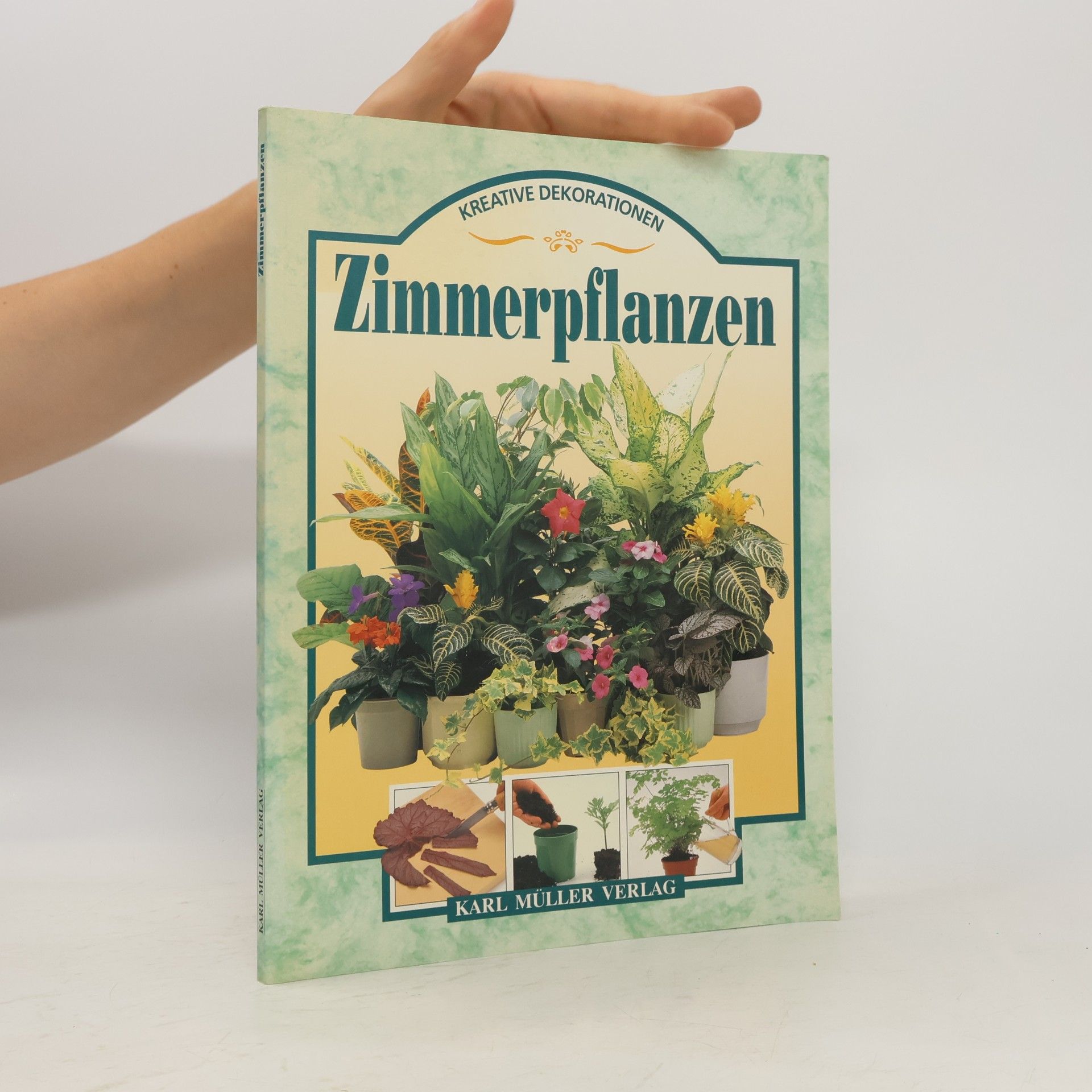 Autorenkollektiv Zimmerpflanzen