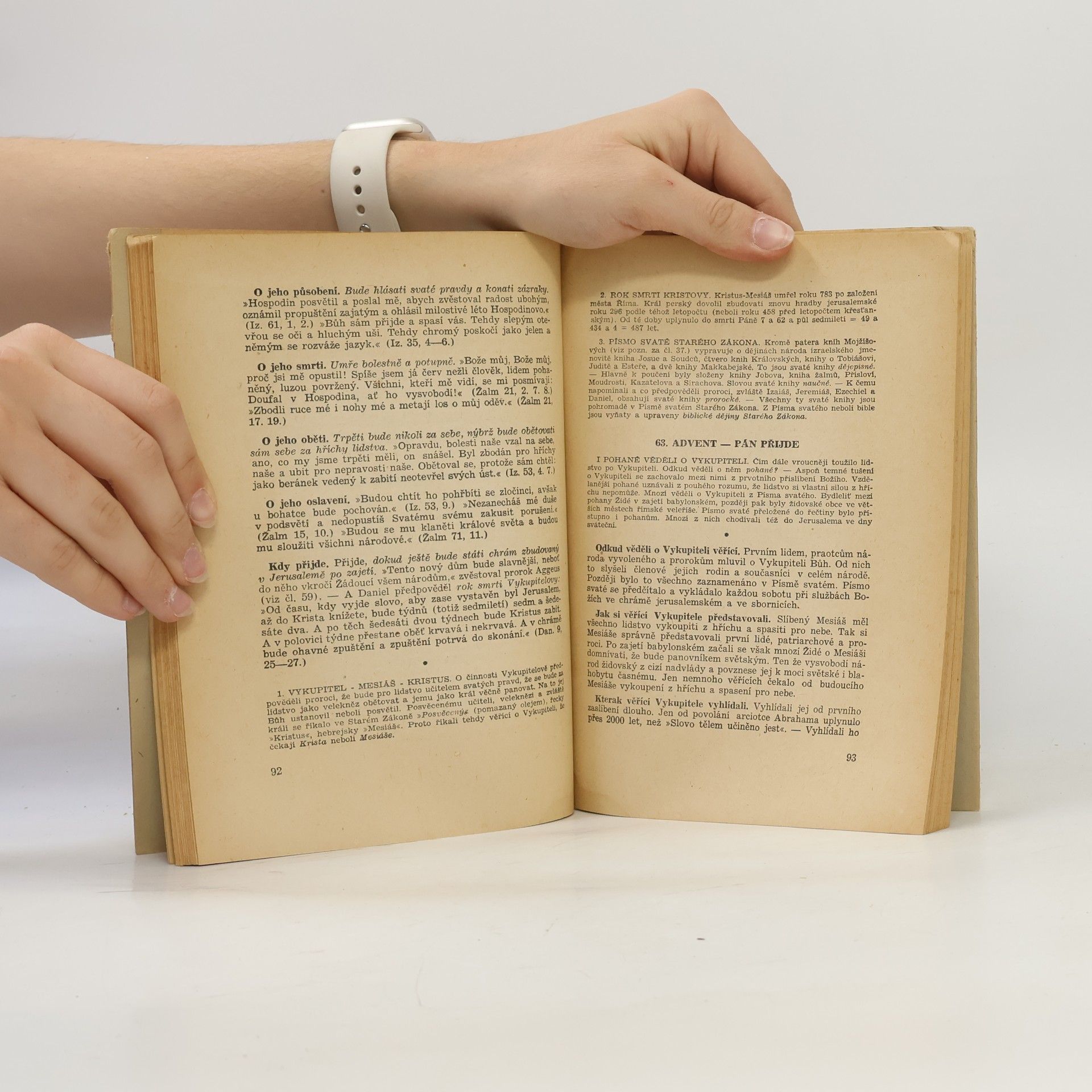 Václav Kubíček Biblické dějiny