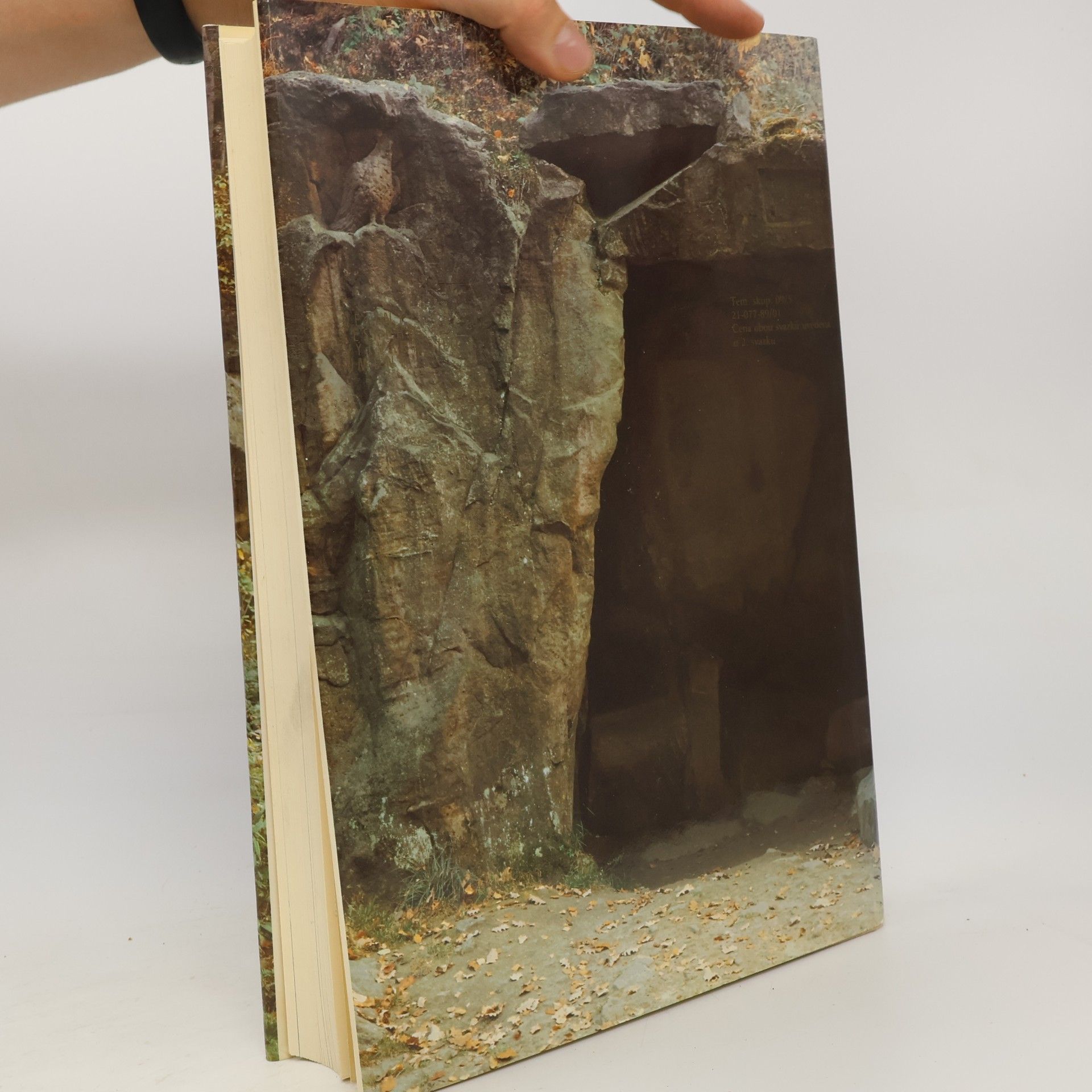 Kolektiv autorů Dějiny českého výtvarného umění II/1