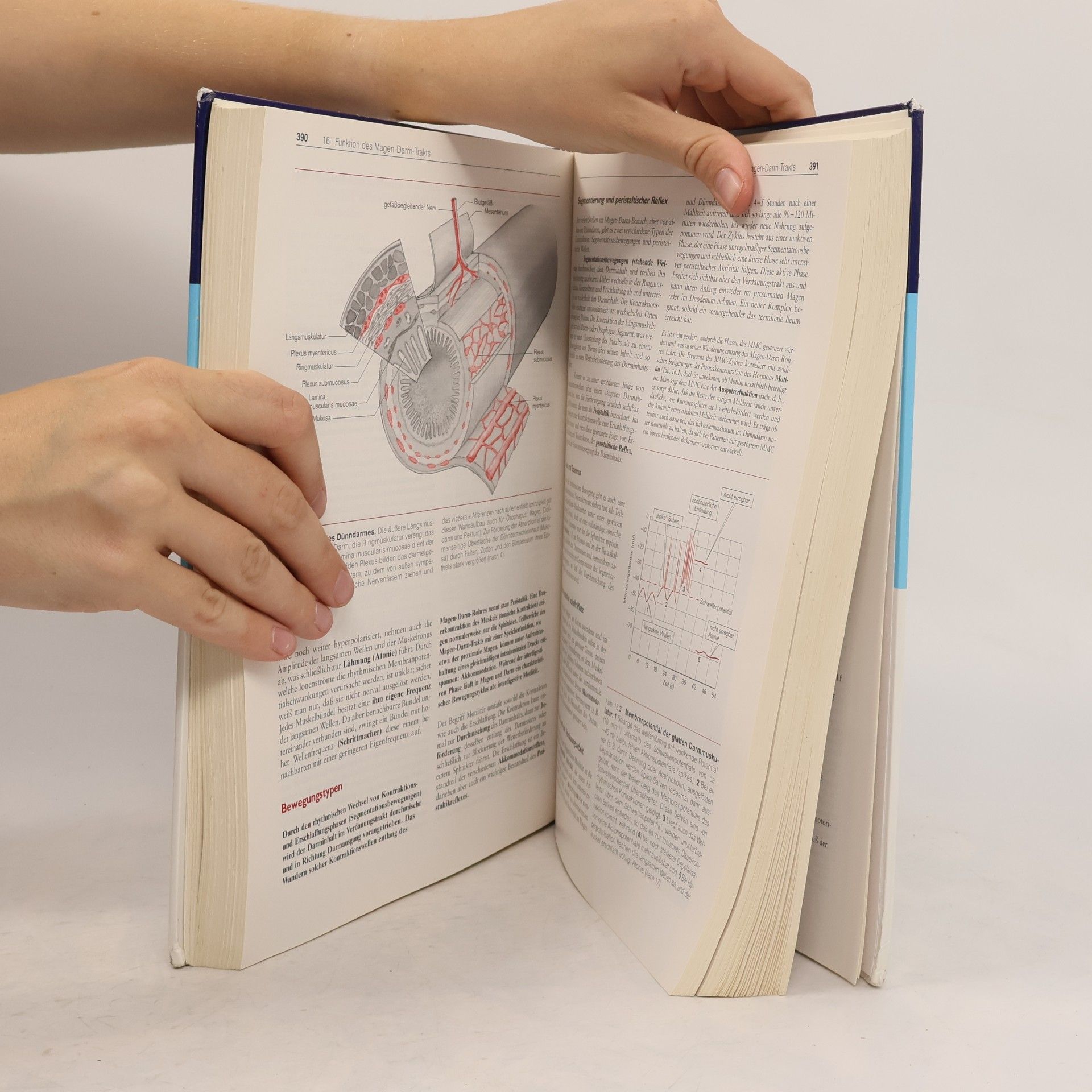Rainer Klinke Lehrbuch der Physiologie