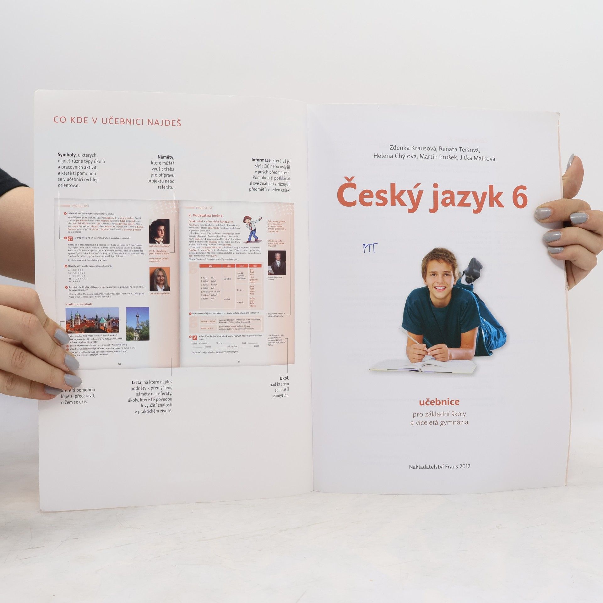 Kolektiv autorů Český jazyk 6. Pro základní školy a víceletá gymnázia
