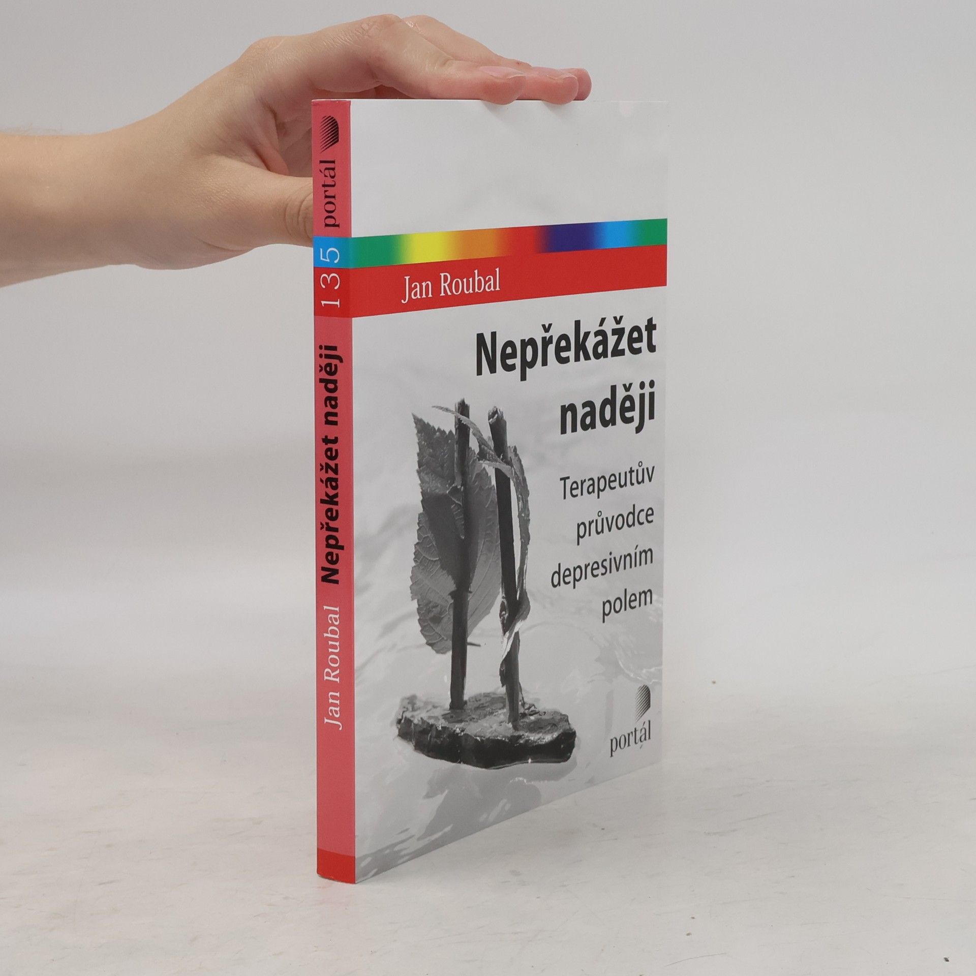 Jan Roubal Nepřekážet naději