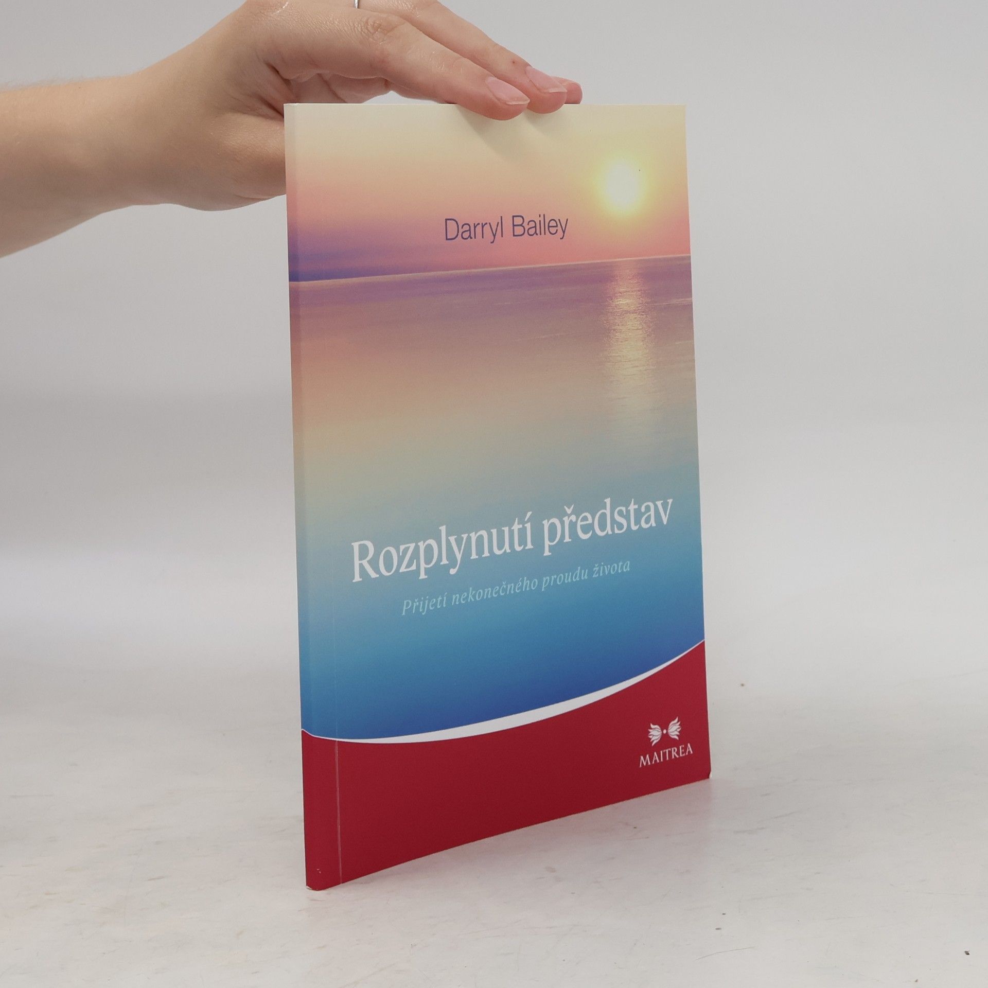 Darryl Bailey Rozplynutí představ: Přijetí nekonečného proudu života