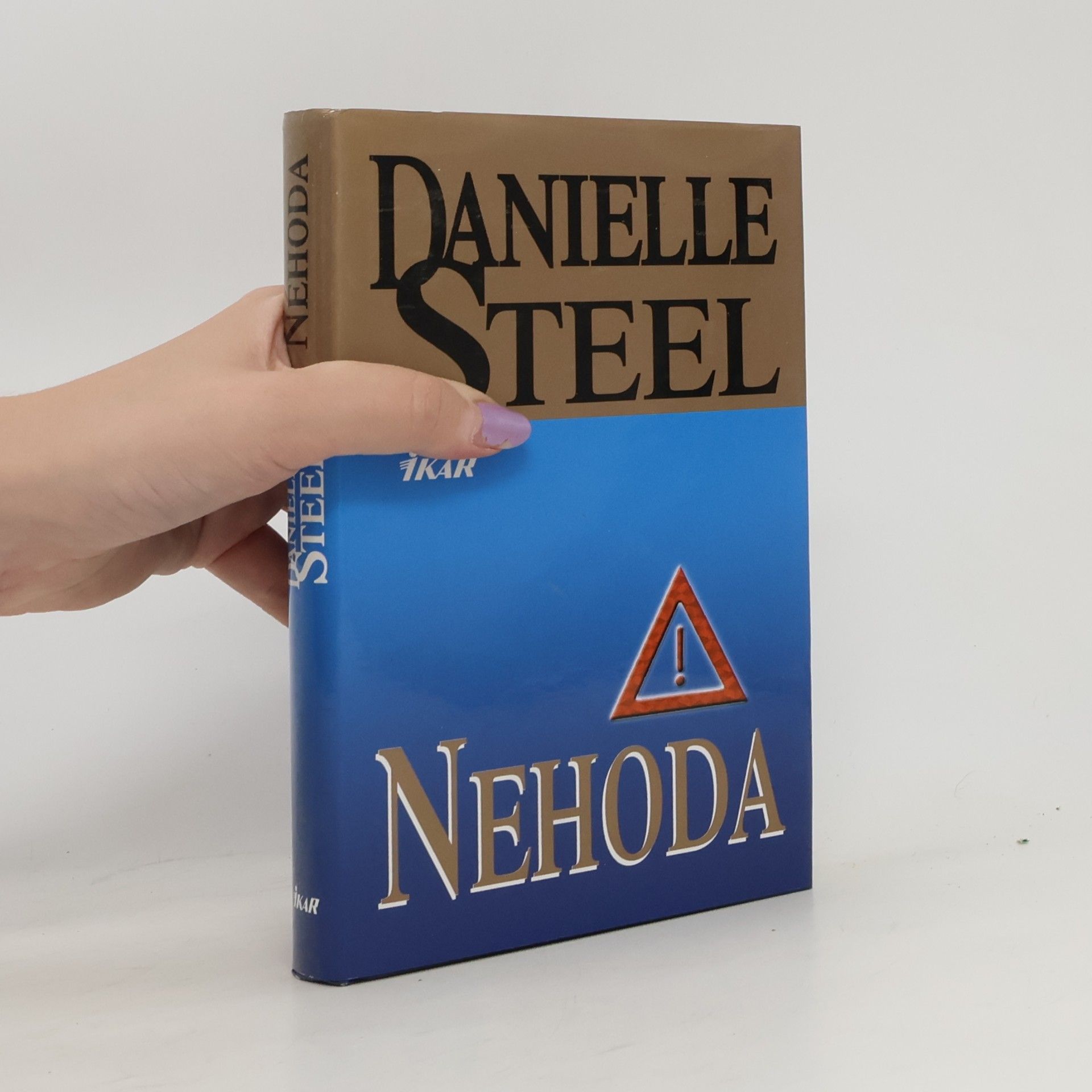 Danielle Steel Nehoda