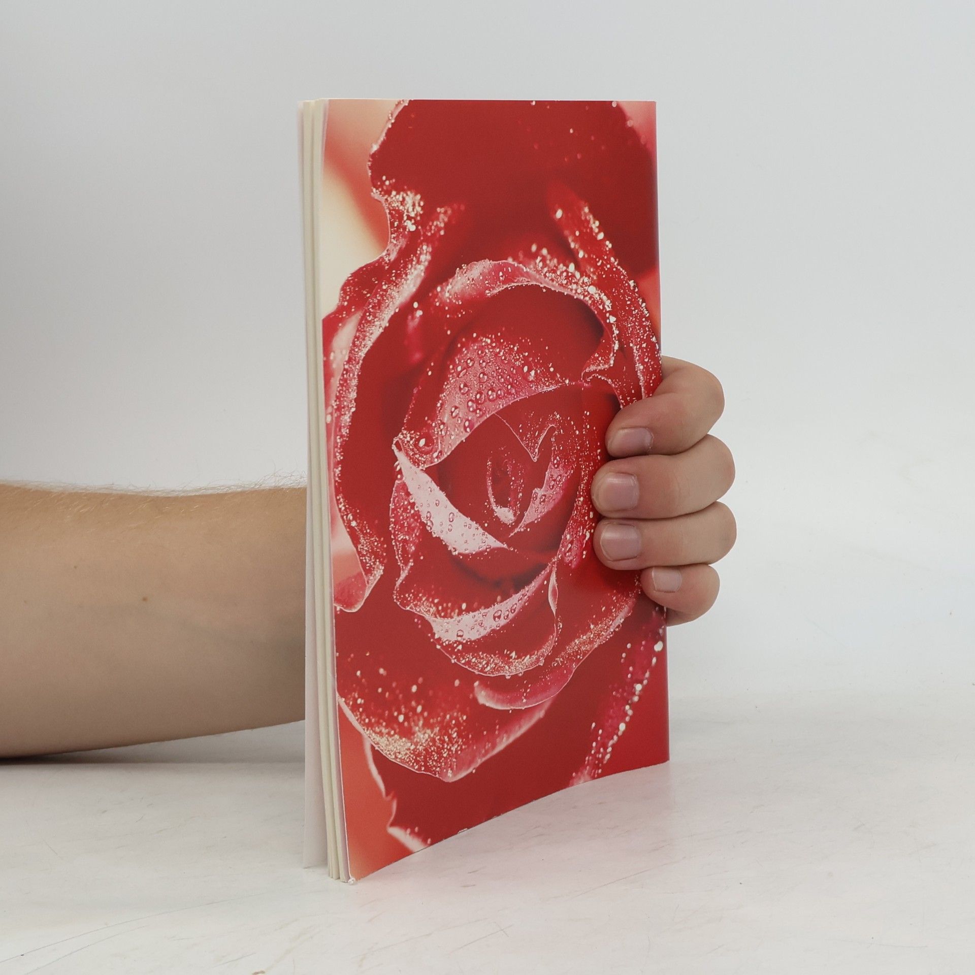 Autorenkollektiv Die schönsten Gedichte und Balladen aus Klassik und Romantik