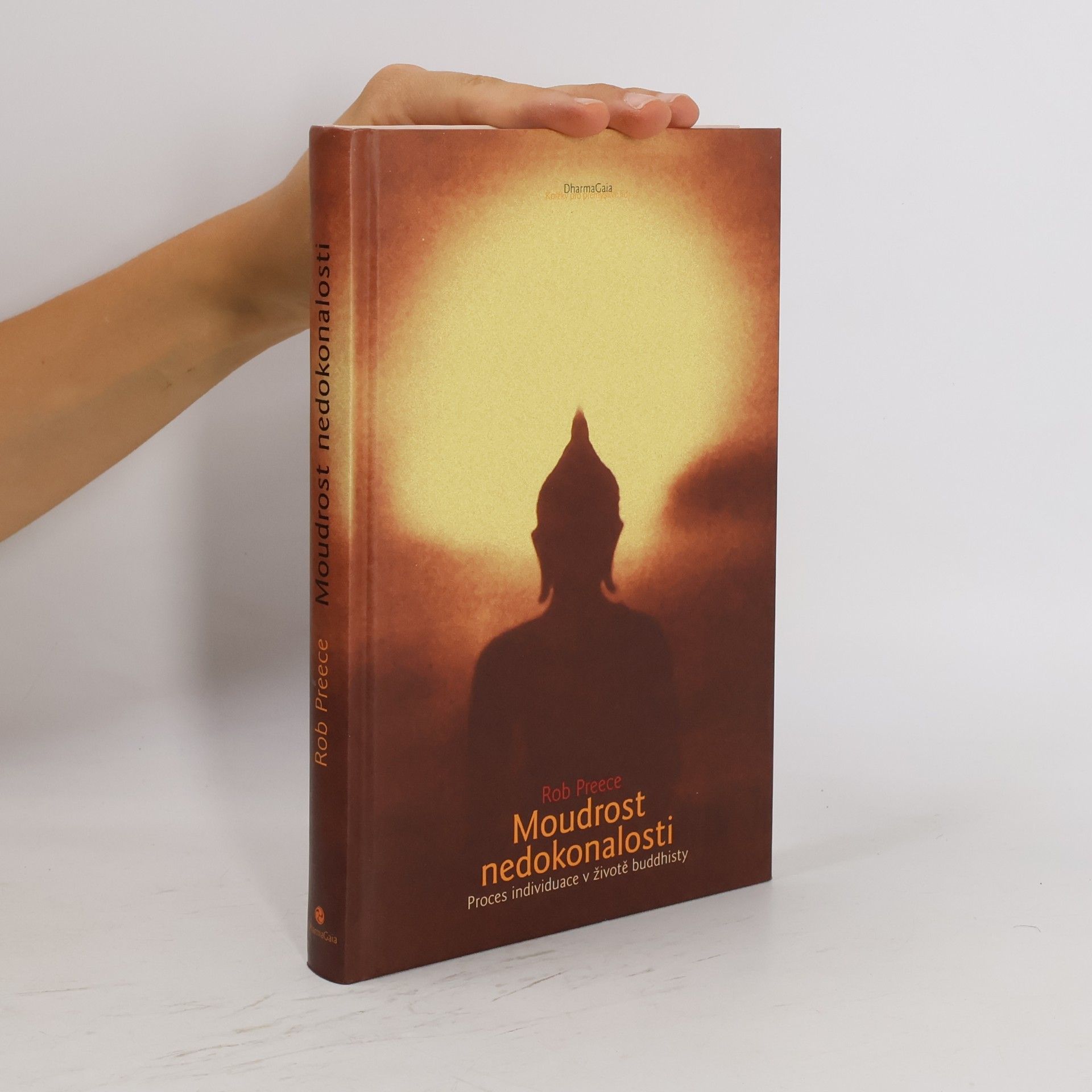 Rob Preece Moudrost nedokonalosti