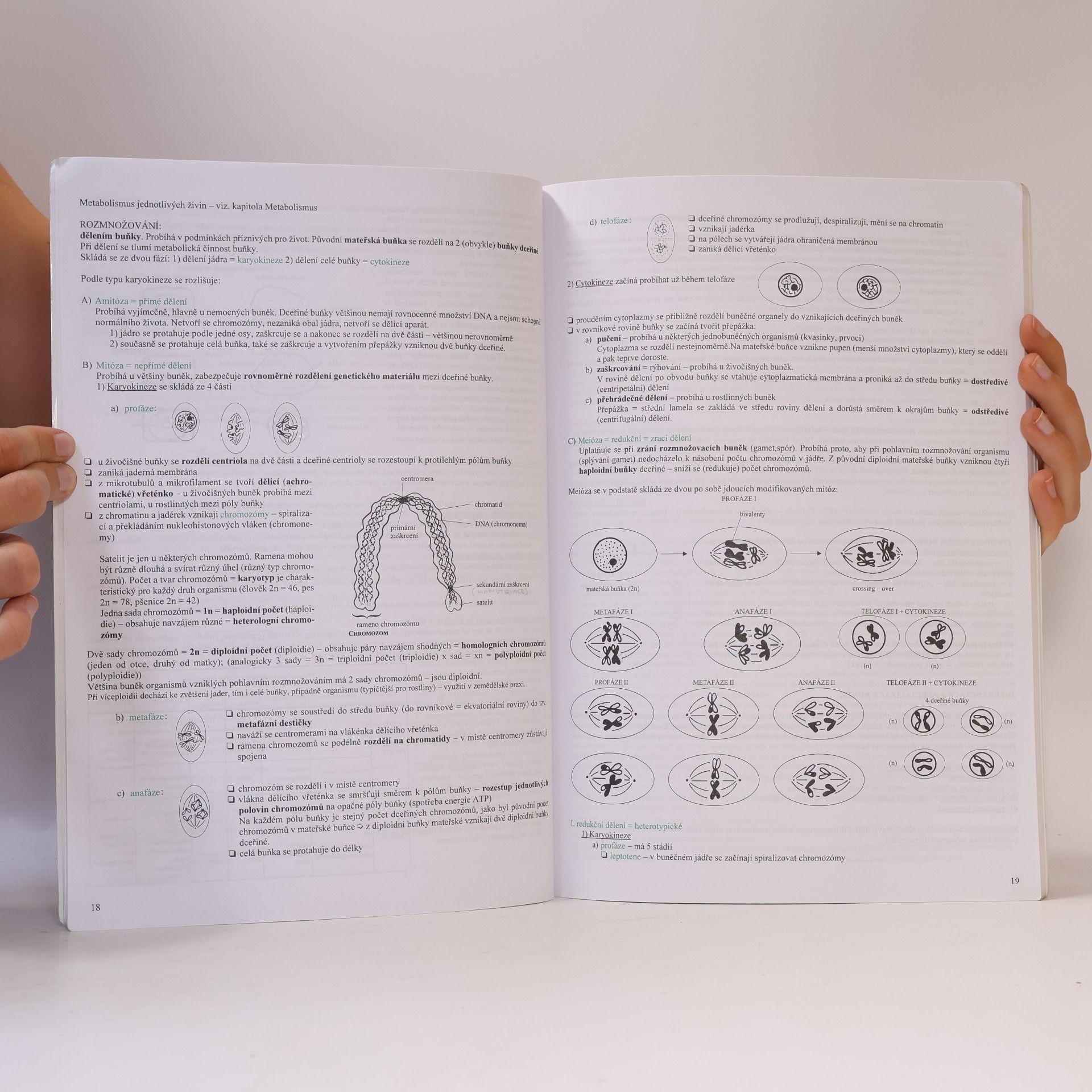 Hana Hančová Biologie v kostce. 1. díl
