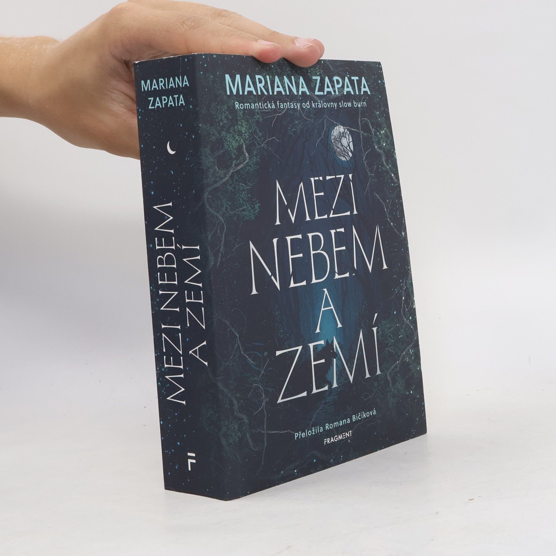 Mariana Zapata Mezi nebem a zemí