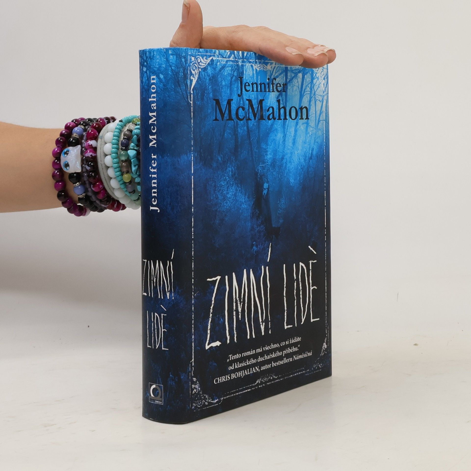 Jennifer McMahon Zimní lidé