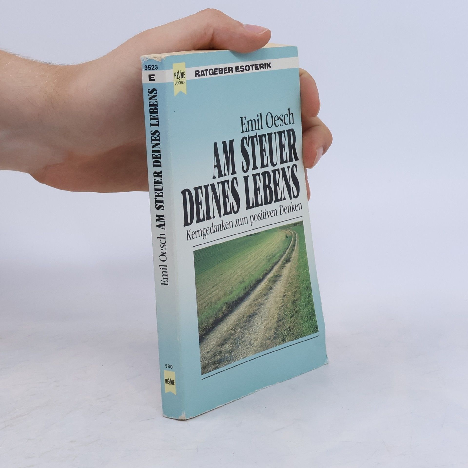 Emil Oesch Am steuer deines lebens