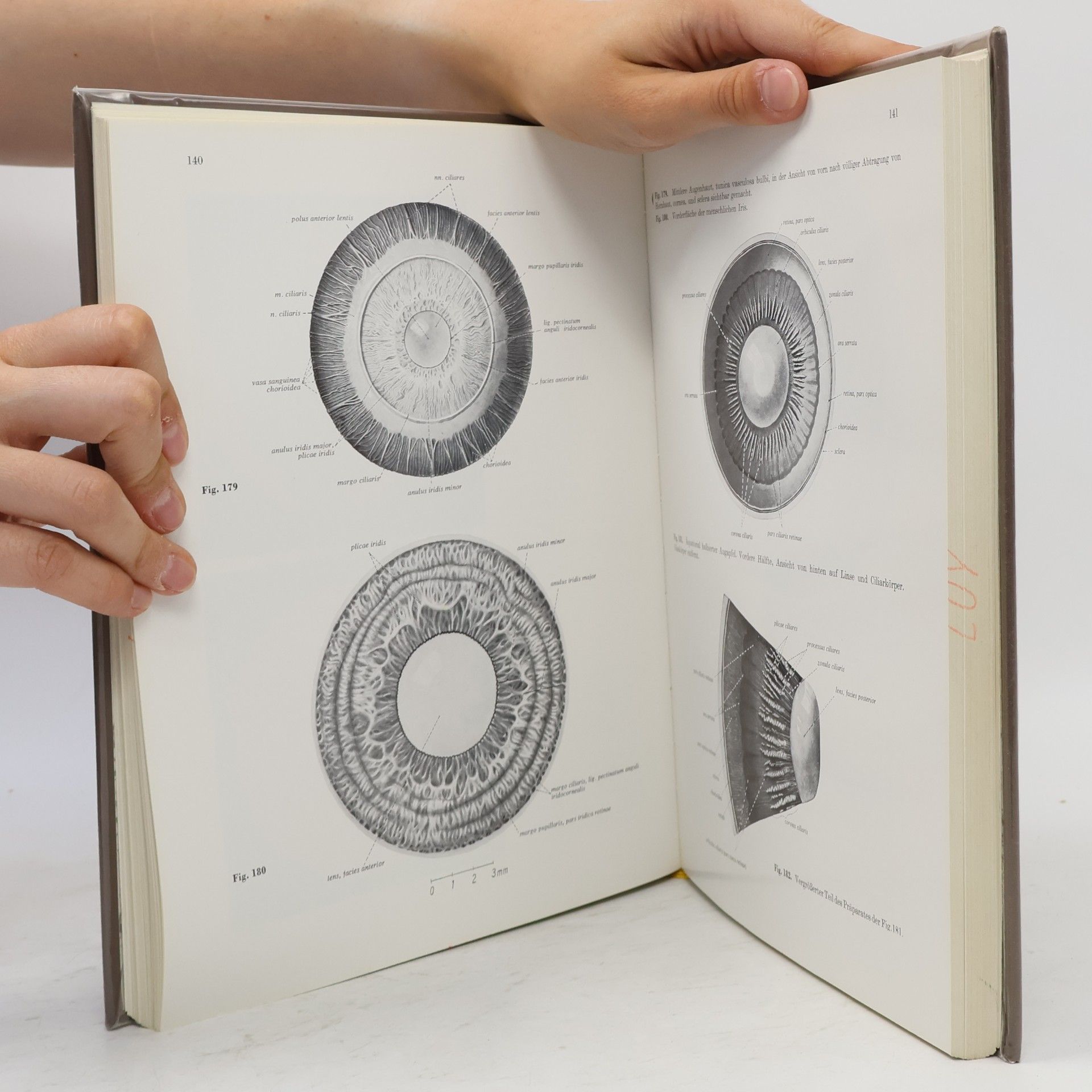 Hellmut Becher Lehrbuch der Anatomie des Menschen 3
