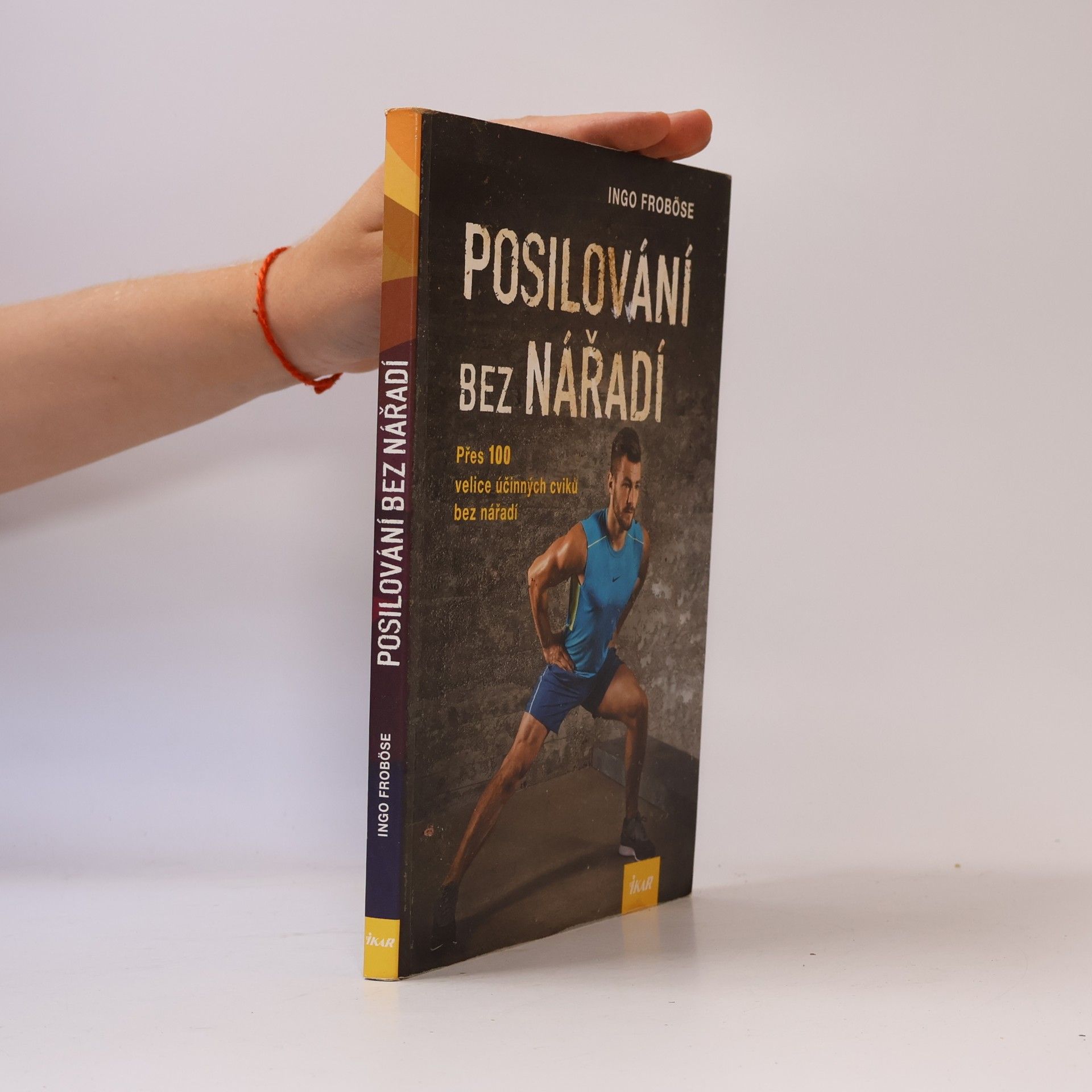 Ingo Froböse Posilování bez nářadí
