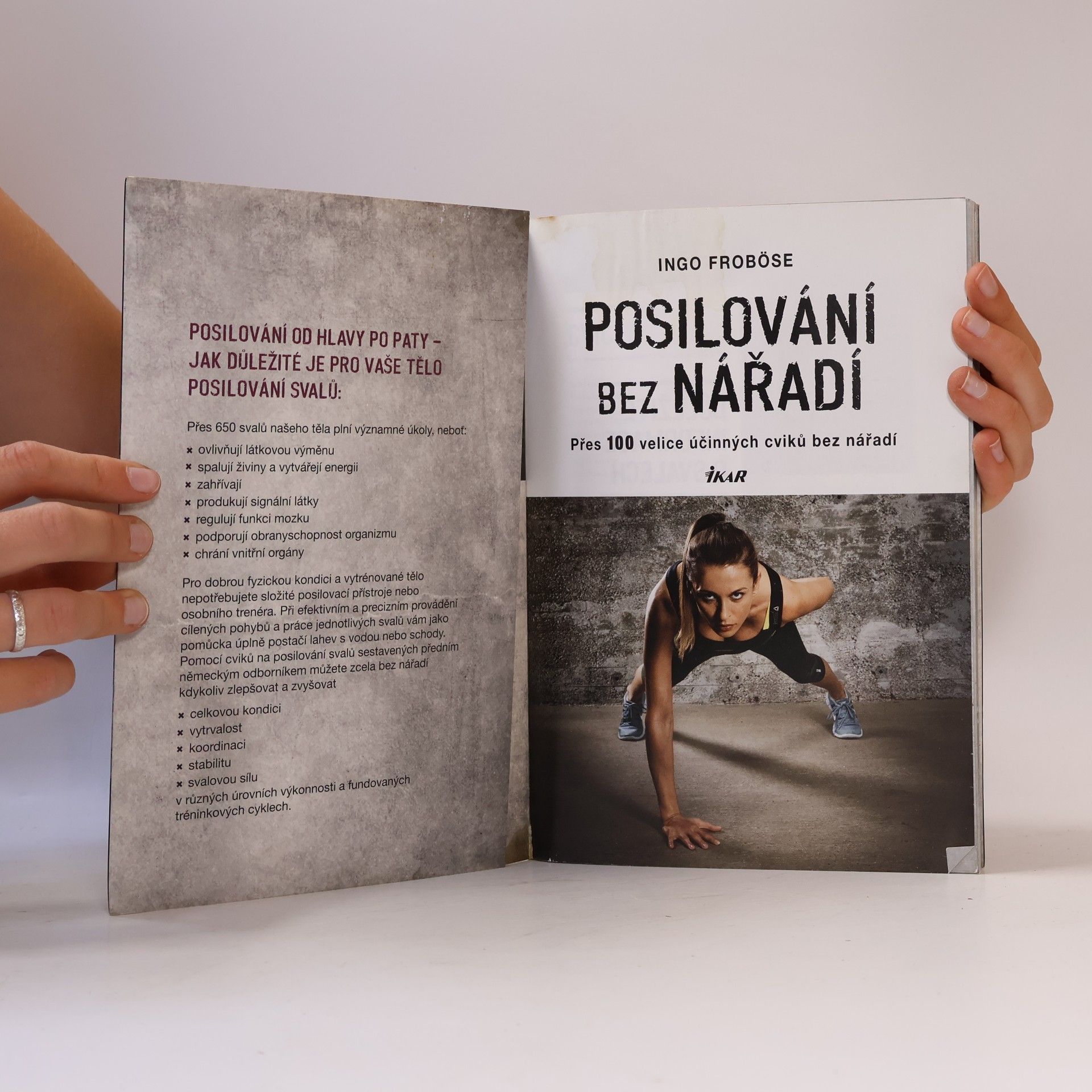 Ingo Froböse Posilování bez nářadí