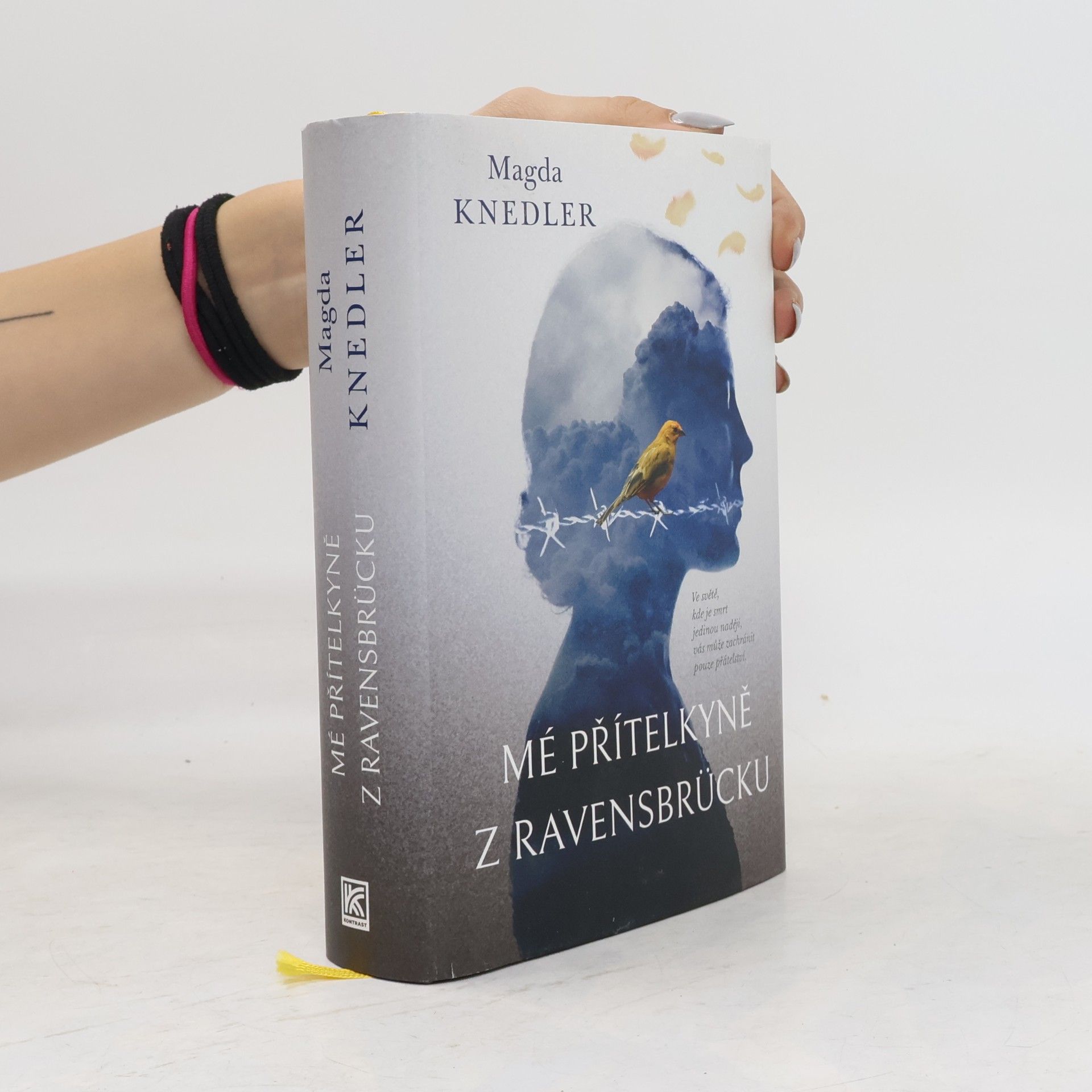Magdalena Knedler Mé přítelkyně z Ravensbrücku