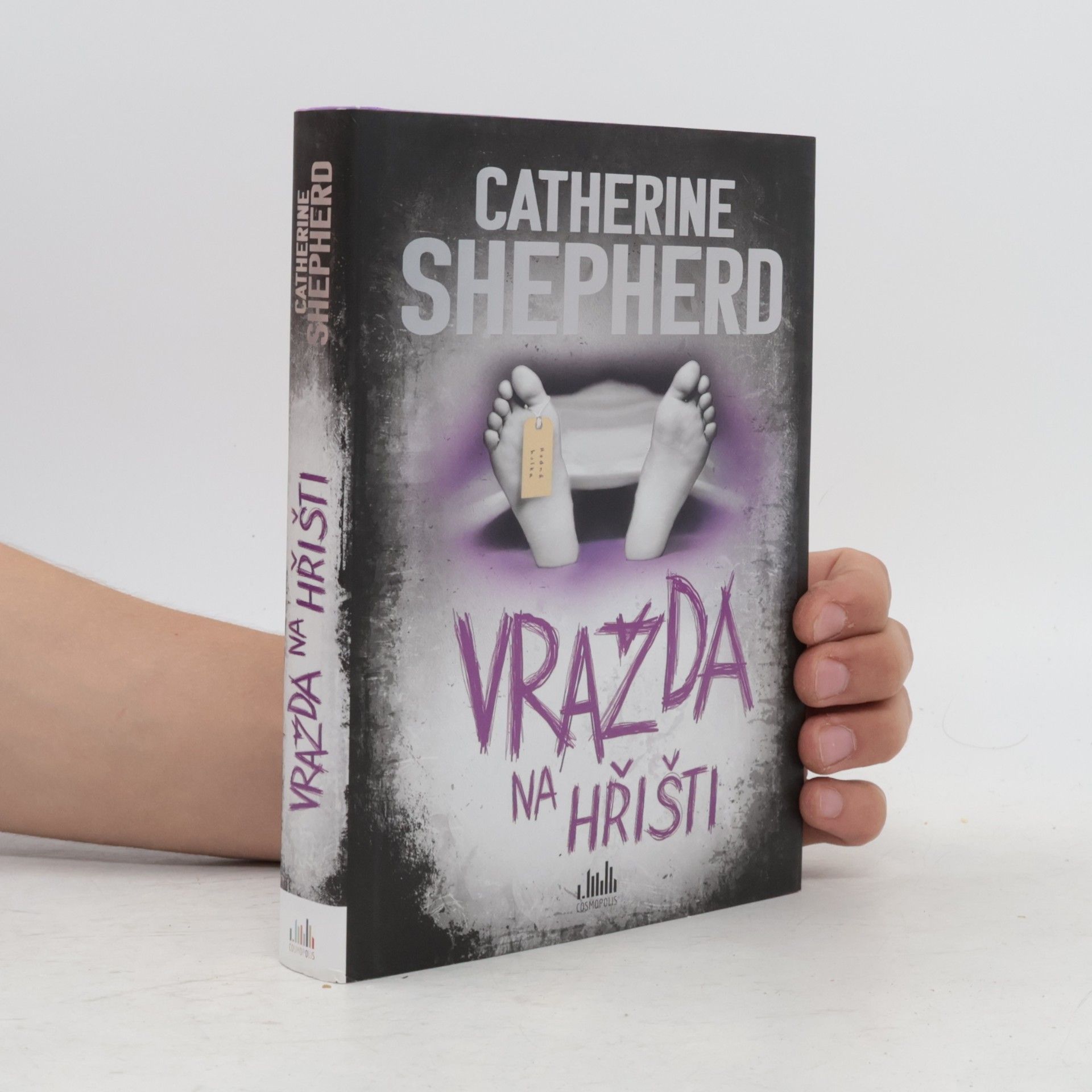 Catherine Shepherd Vražda na hřišti