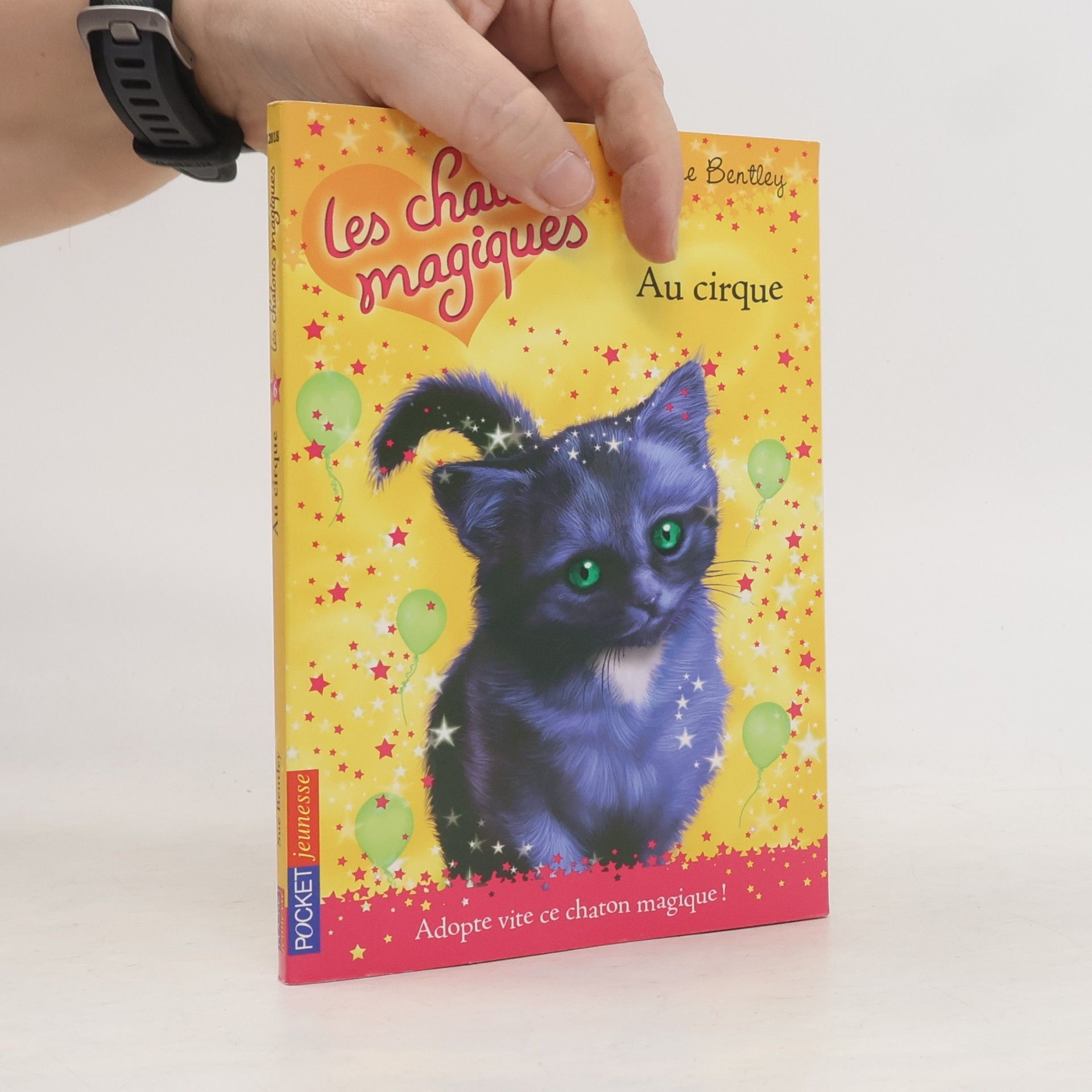 Sue Bentley Les chatons magiques - 6: Au cirque