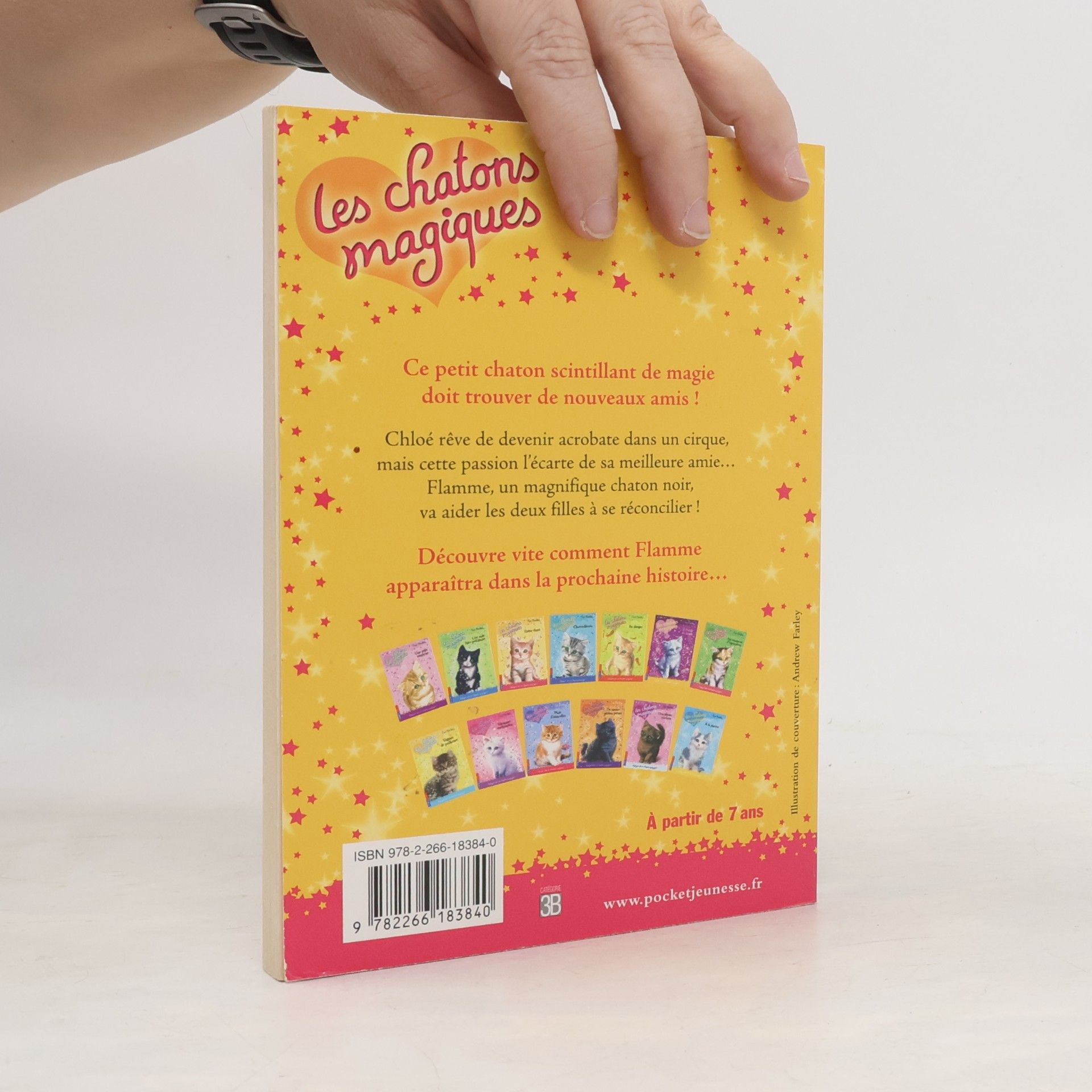 Christine Bouchareine Les chatons magiques - 6: Au cirque