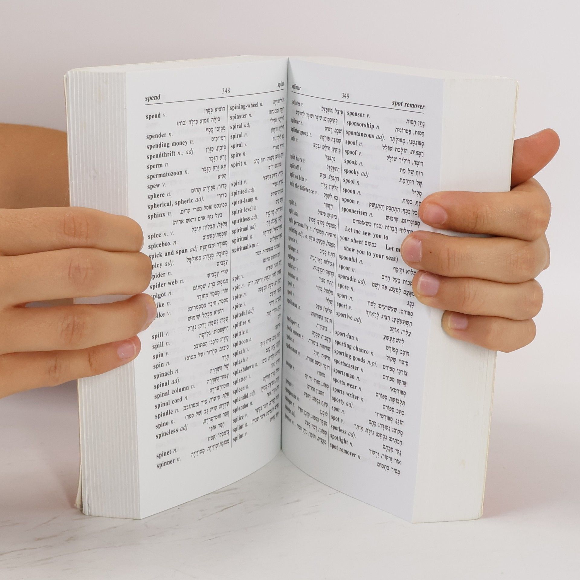 Yisrael Lazar The New Dictionary