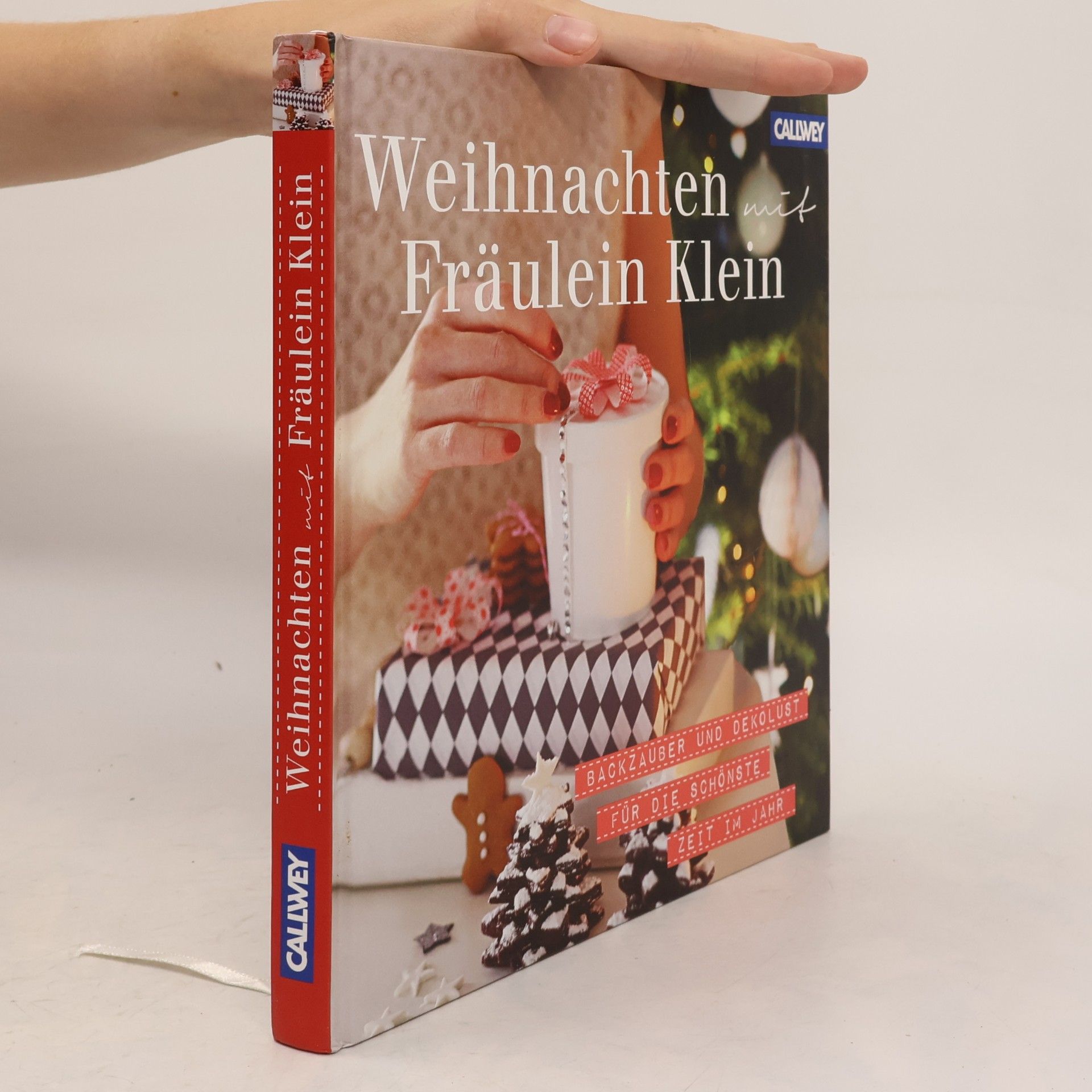 Yvonne Bauer Weihnachten mit Fräulein Klein