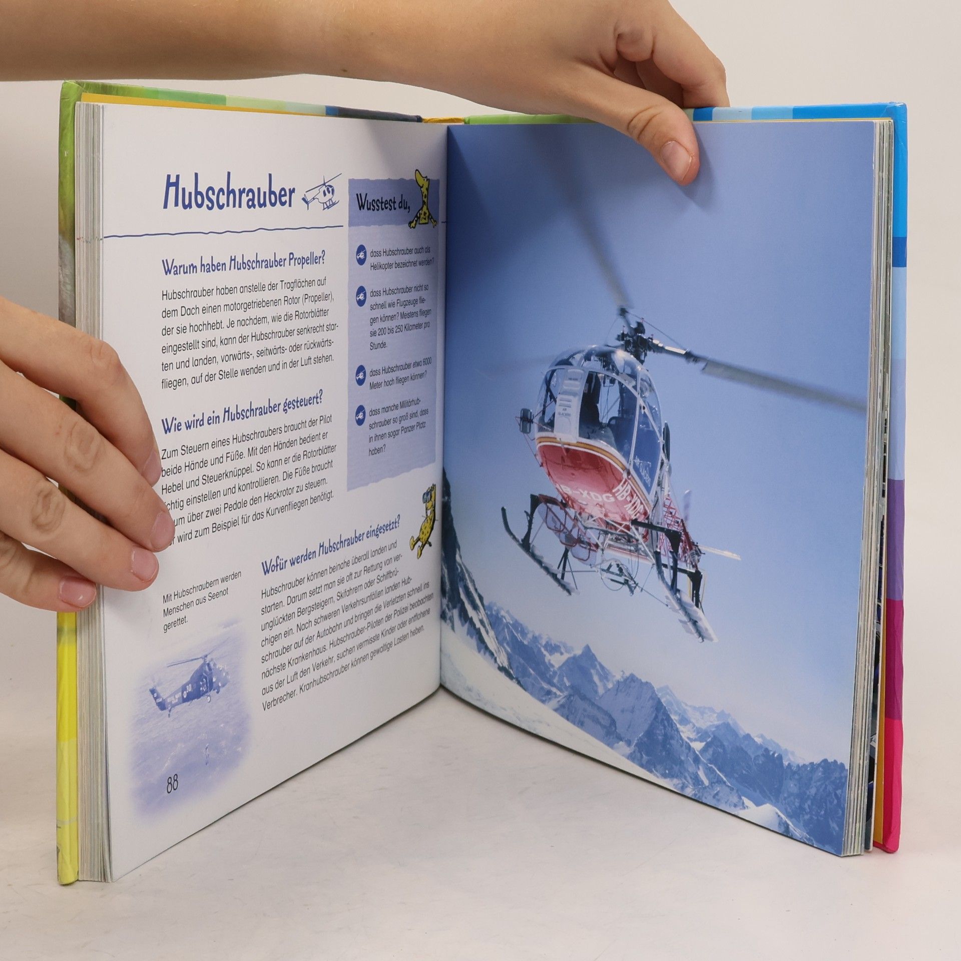 Kolektiv autorů Warum fallen Fliegen nicht von der Wand? Knifflige Kinderfragen leicht erklärt
