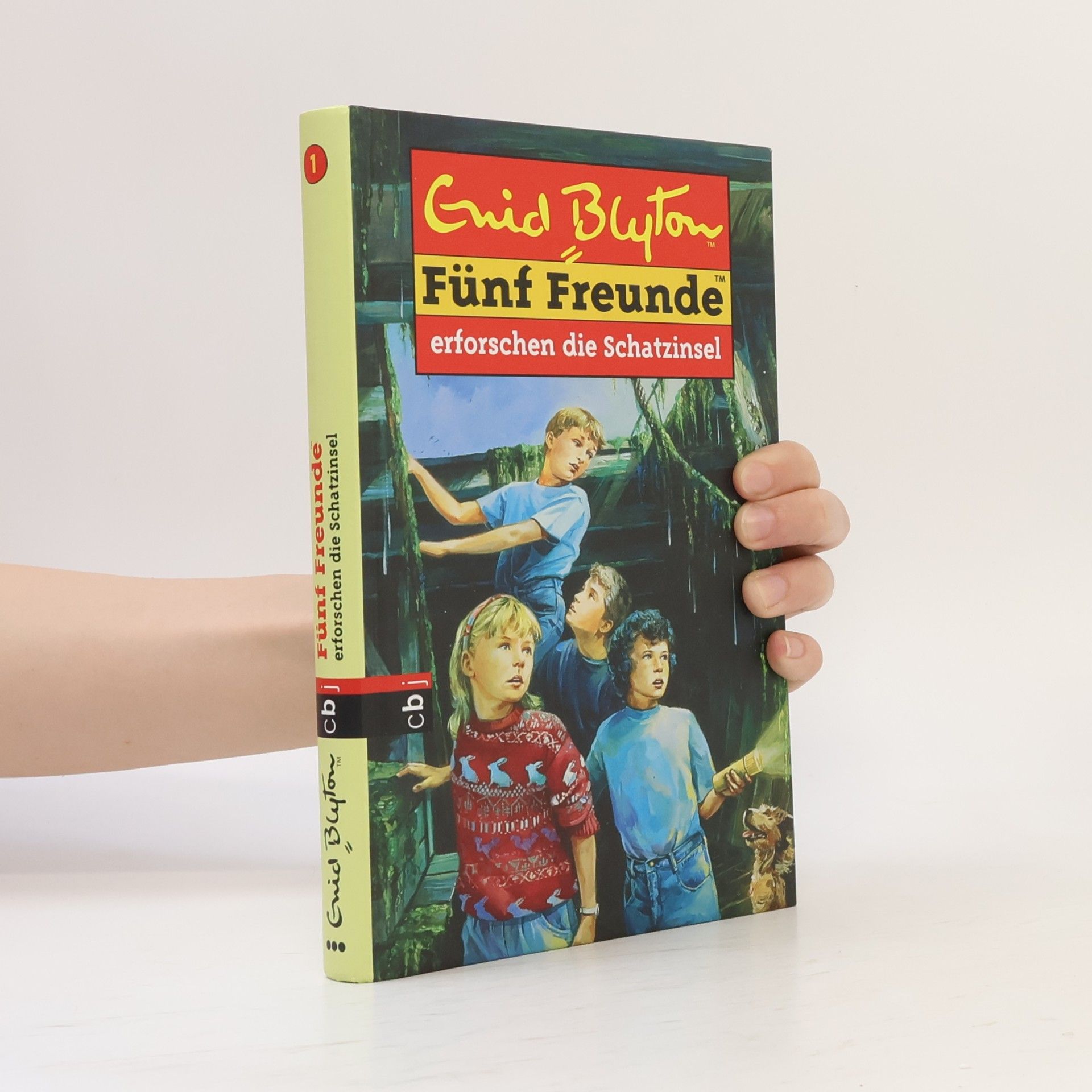 Enid Blyton Fünf Freunde erforschen die Schatzinsel