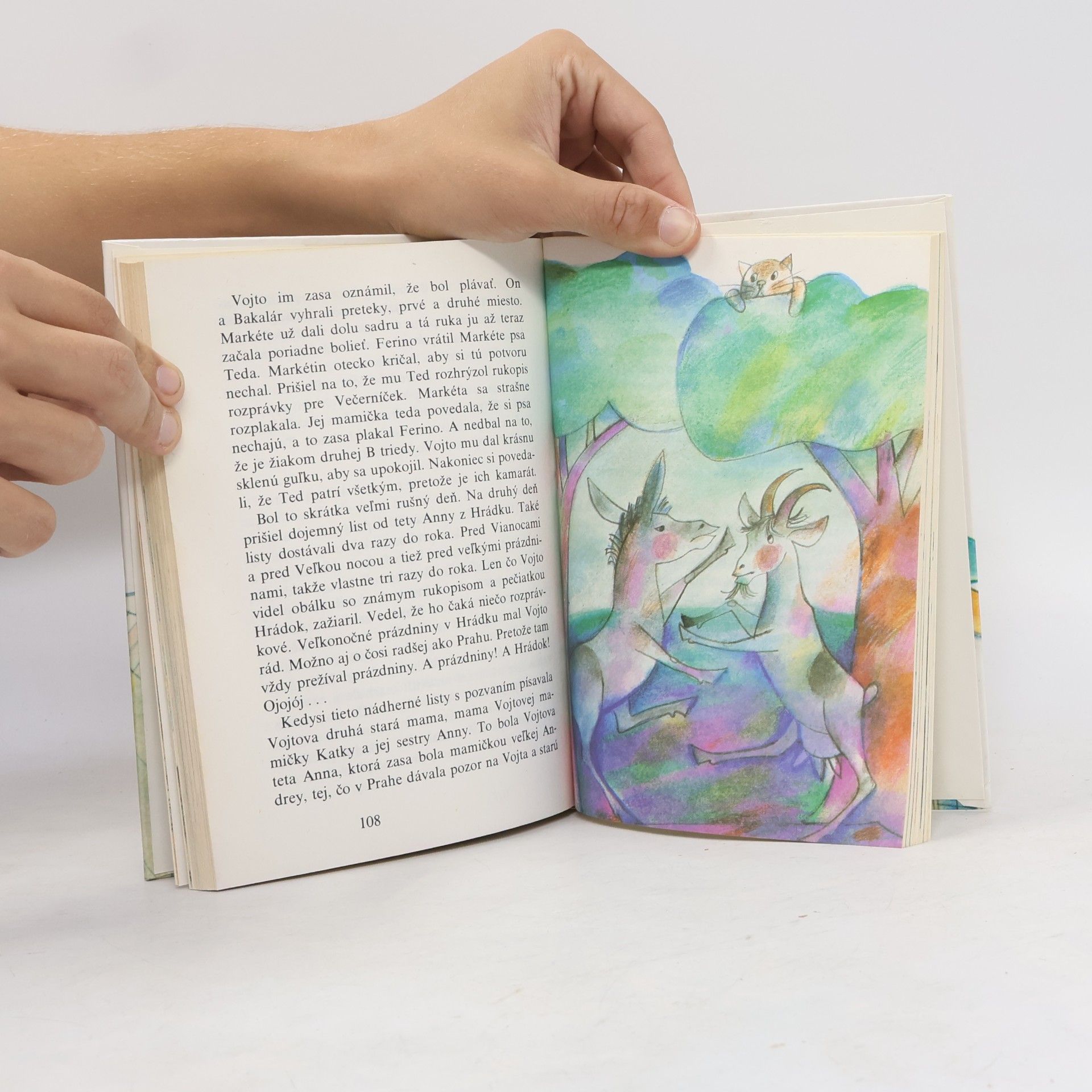 Bohuslav Kompiš Vojto a medveď Peter
