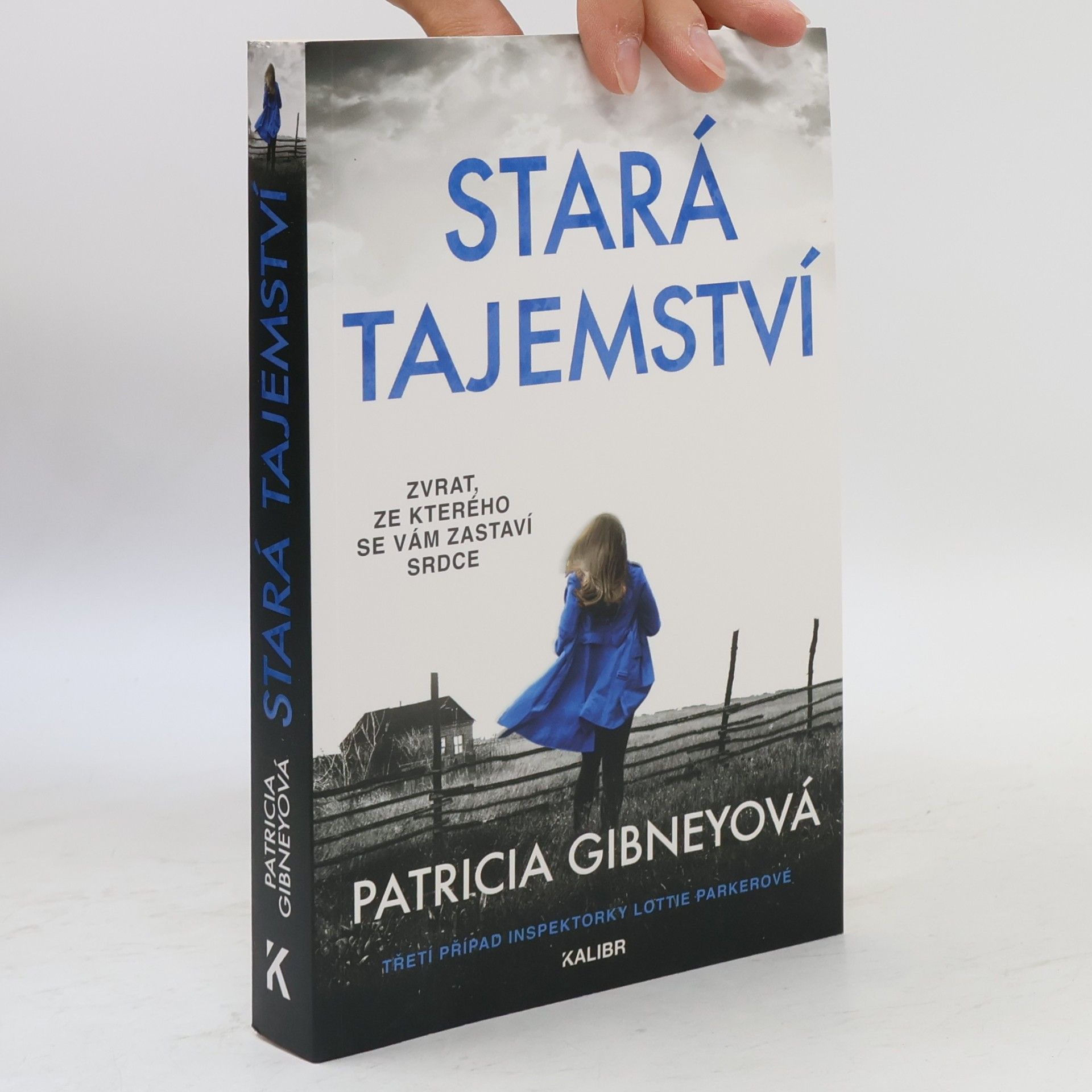 Patricia Gibney Stará tajemství
