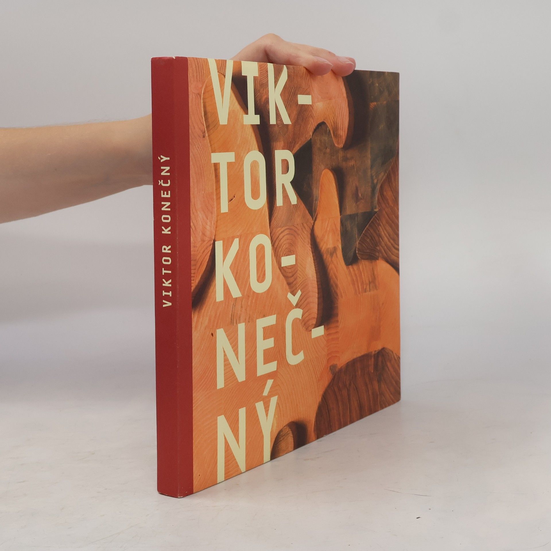 Collectif d'auteurs Viktor Konečný - Dřevěné obrazy, grafiky, sochy