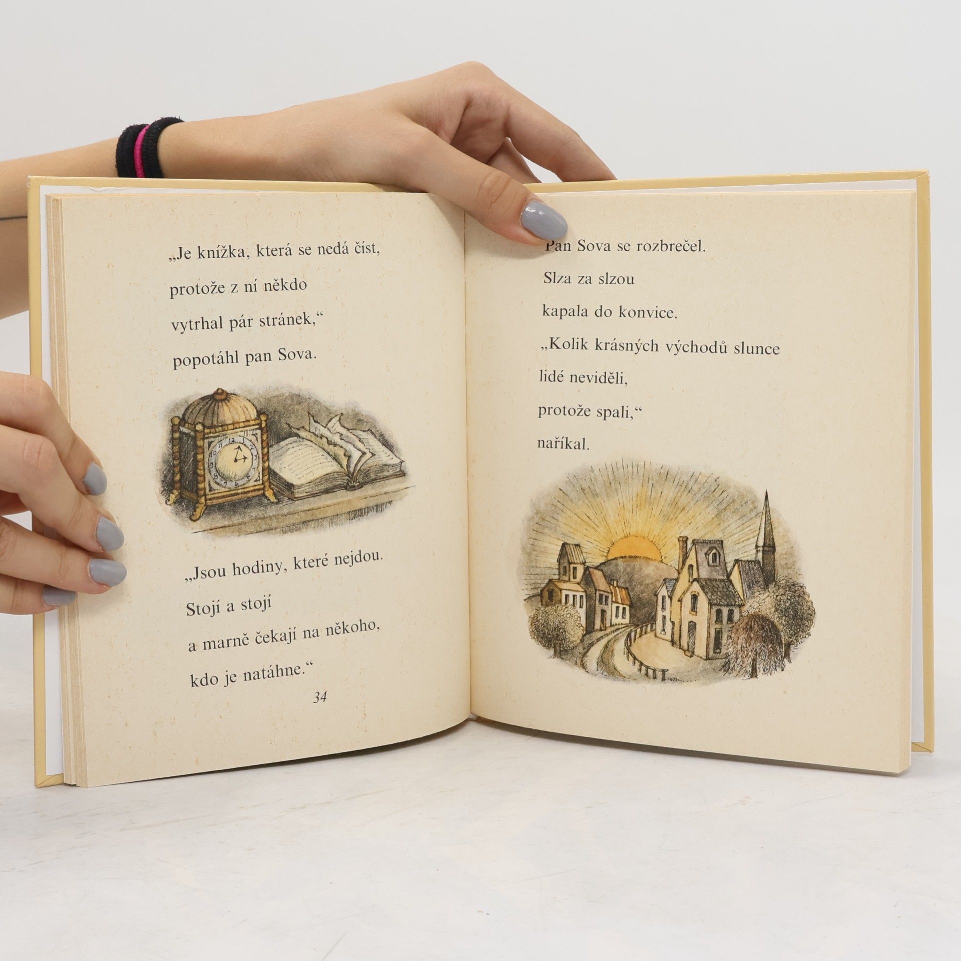 Arnold Lobel Pan Sova