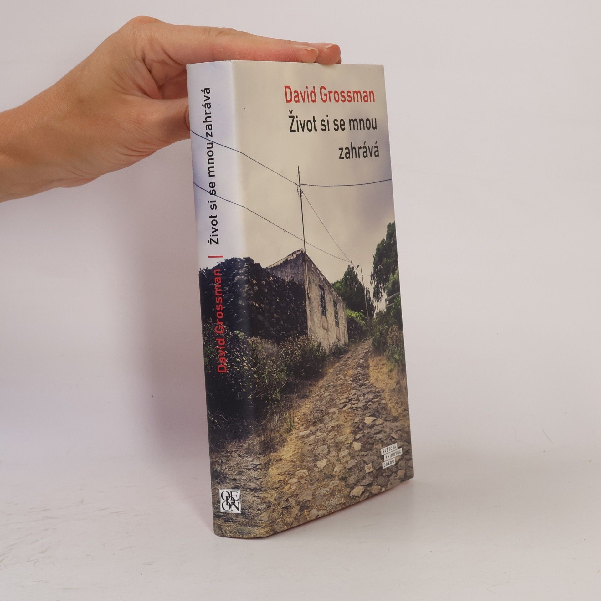David Grossman Život si se mnou zahrává