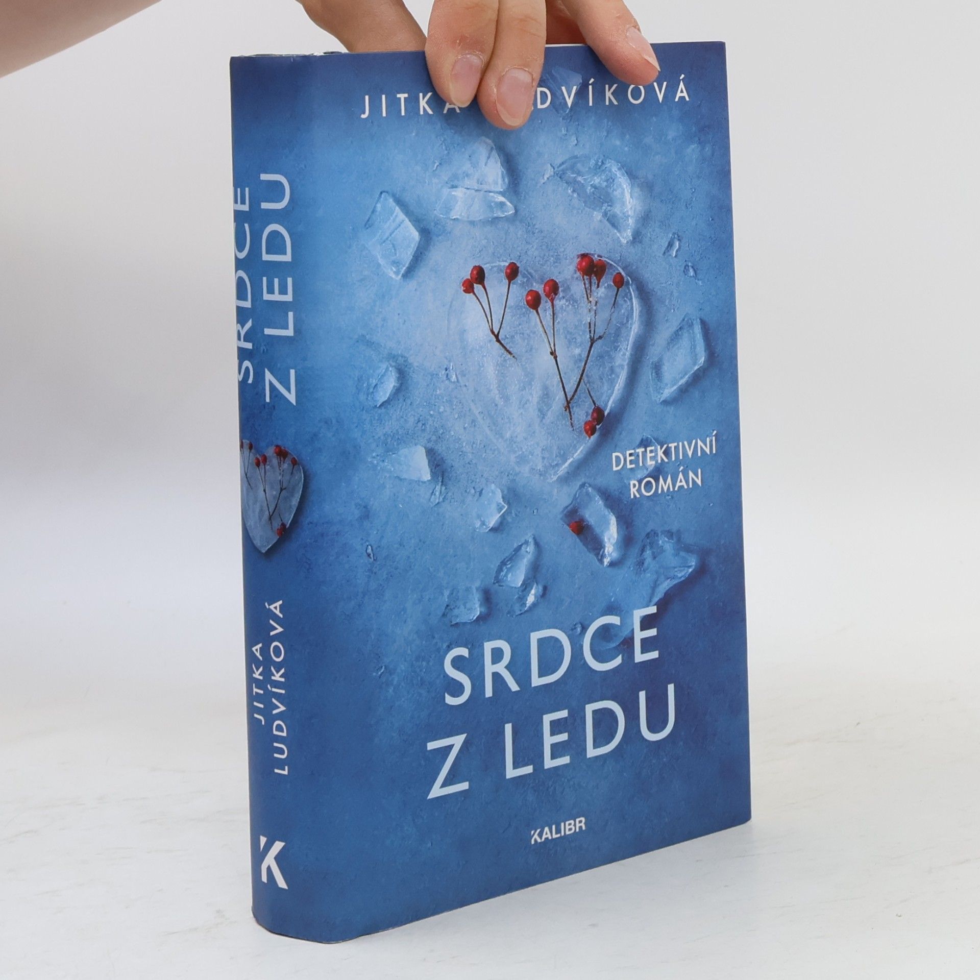 Jitka Ludvíková Srdce z ledu