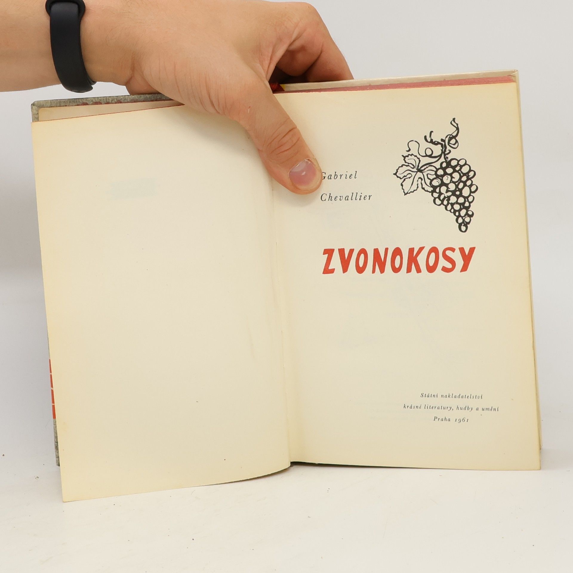 Gabriel Chevallier Zvonokosy