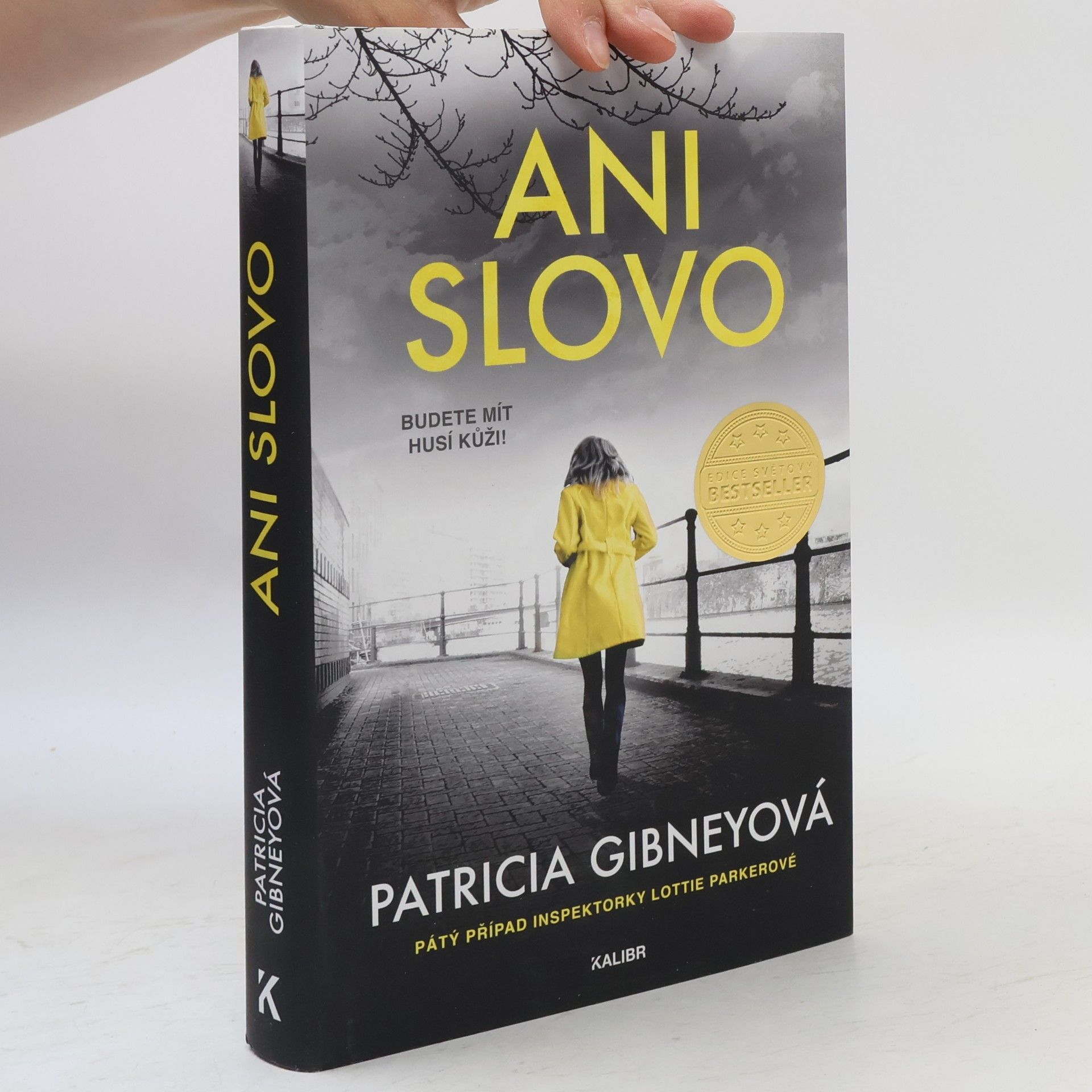 Patricia Gibney Ani slovo