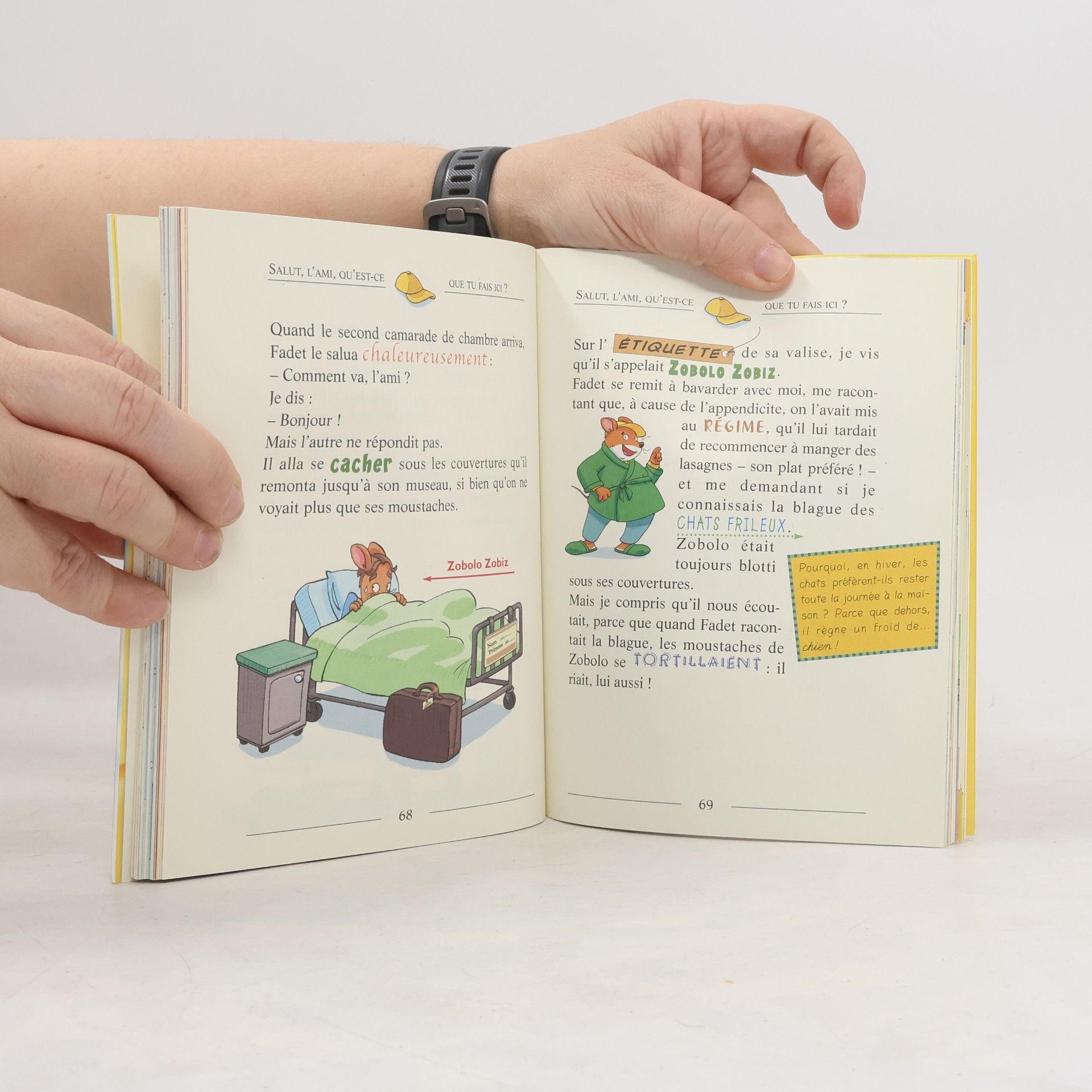 Elisabetta Dami Geronimo Stilton 33. Ouille, ouille, ouille... quelle trouille!
