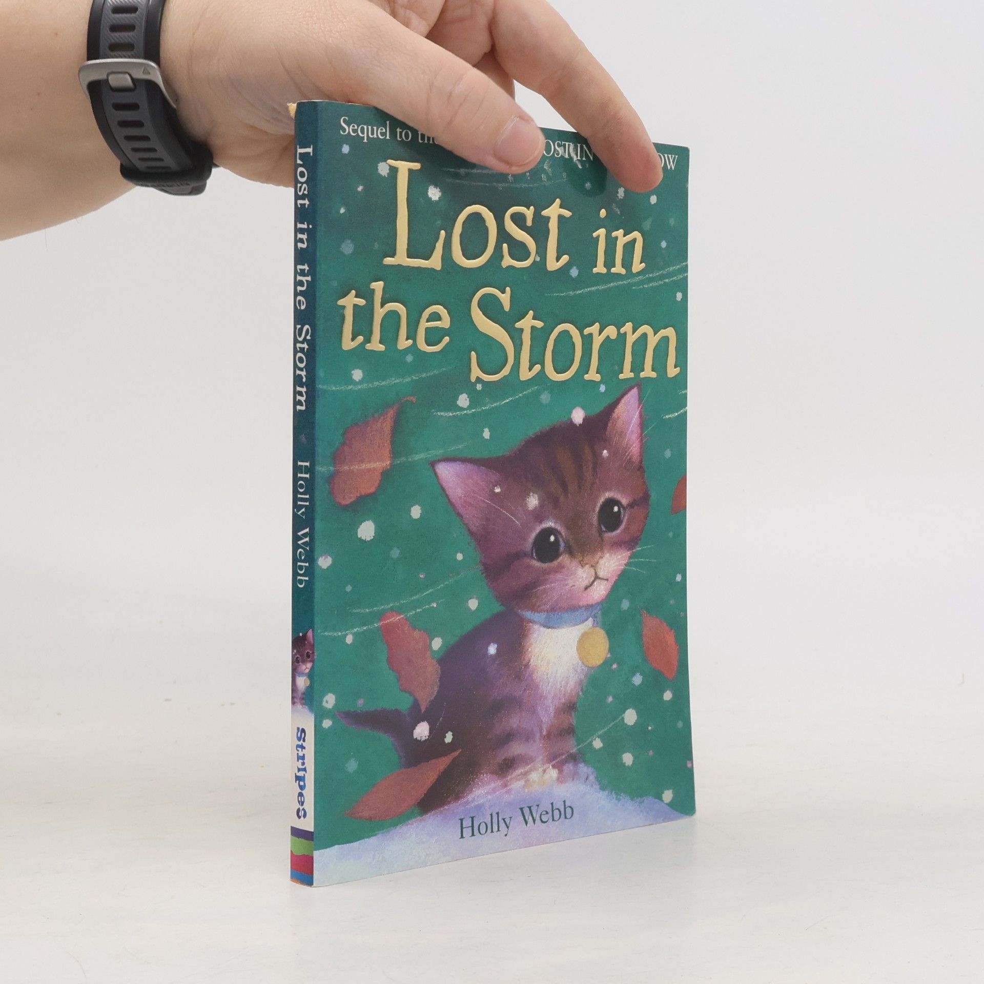 Holly Webb Lost in the Storm