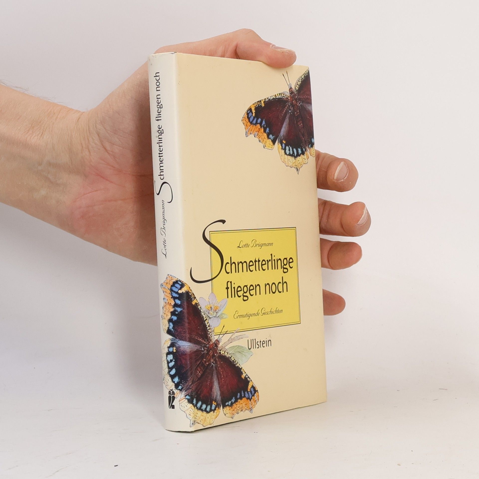 Lotte Brügmann-Eberhardt Schmetterlinge fliegen noch