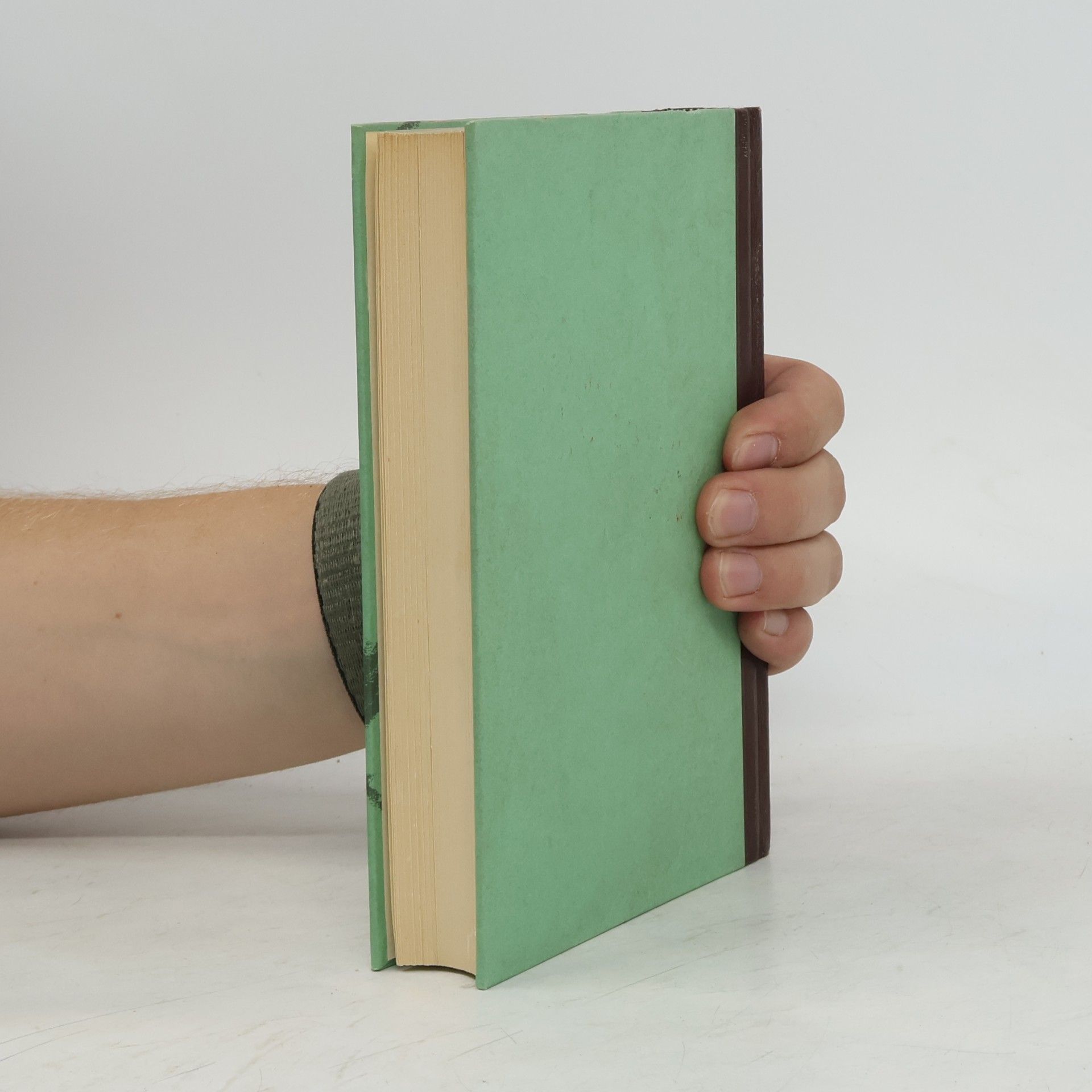 William Somerset Maugham Triumph der Liebe