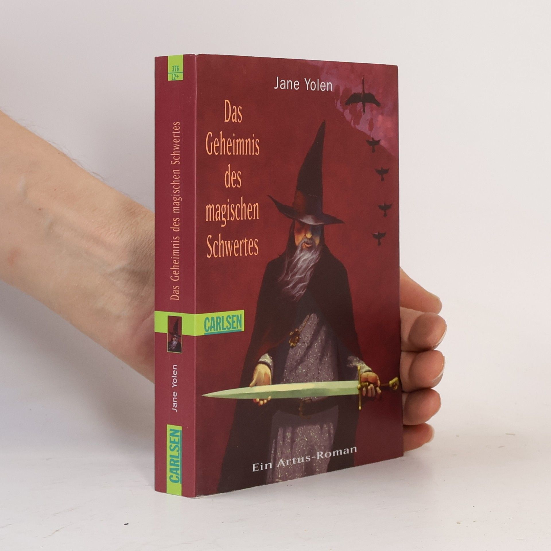 Jane Yolen Das Geheimnis des magischen Schwertes