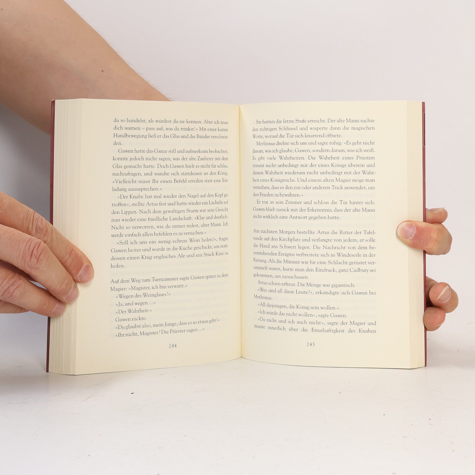 Jane Yolen Das Geheimnis des magischen Schwertes