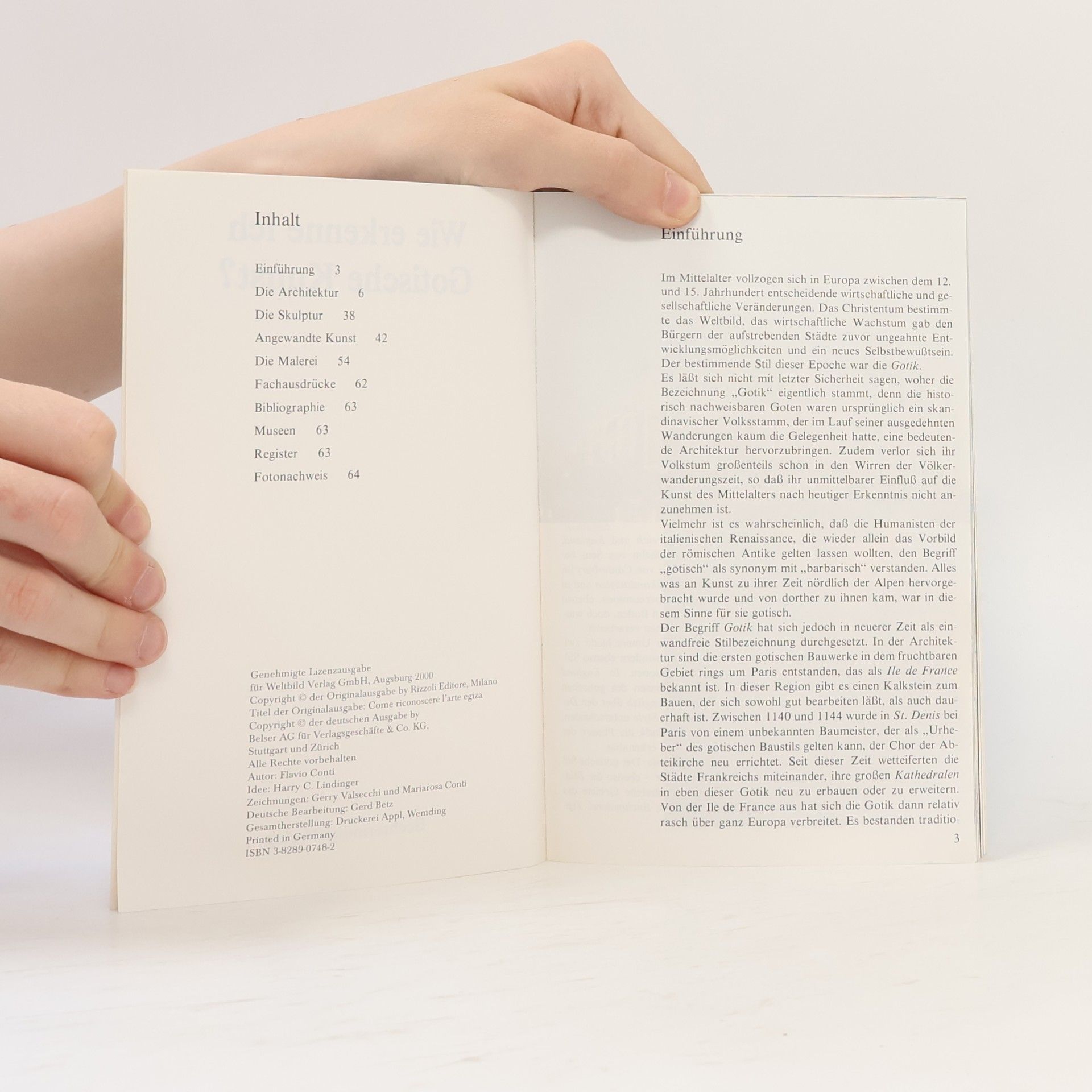 Autores varios Wie erkenne ich Gotische Kunst?
