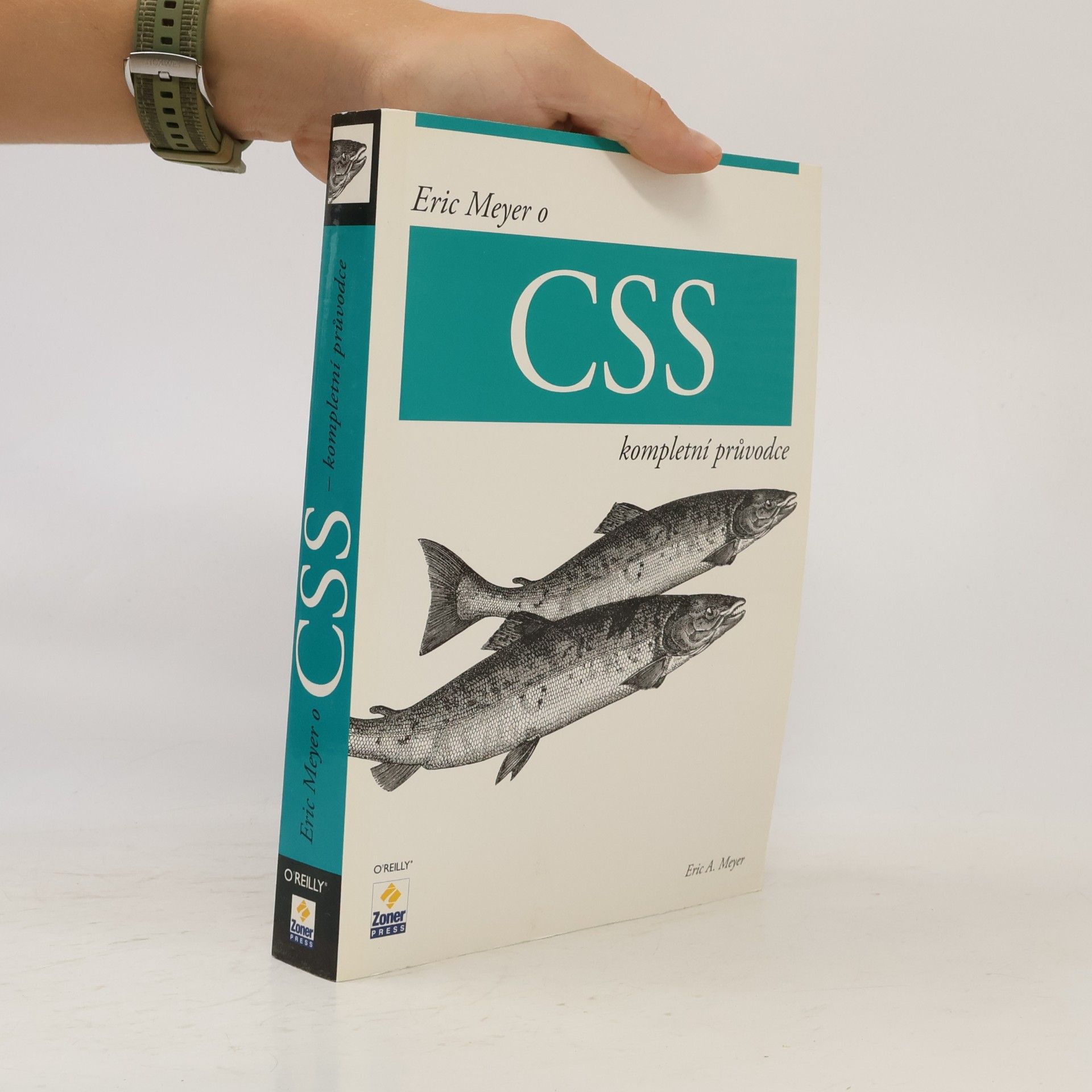 Eric Meyer o CSS