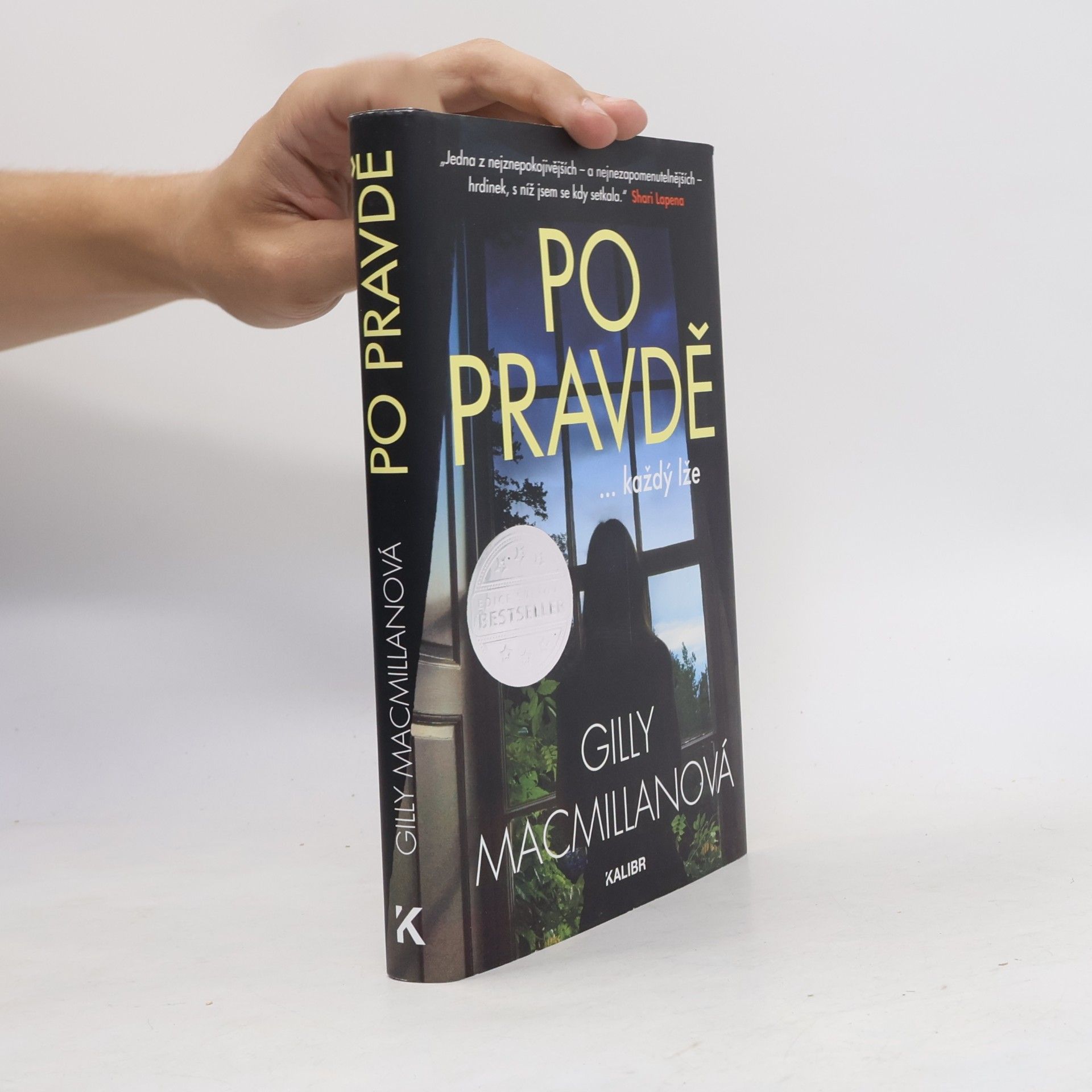 Gilly Macmillan Po pravdě ...každý lže