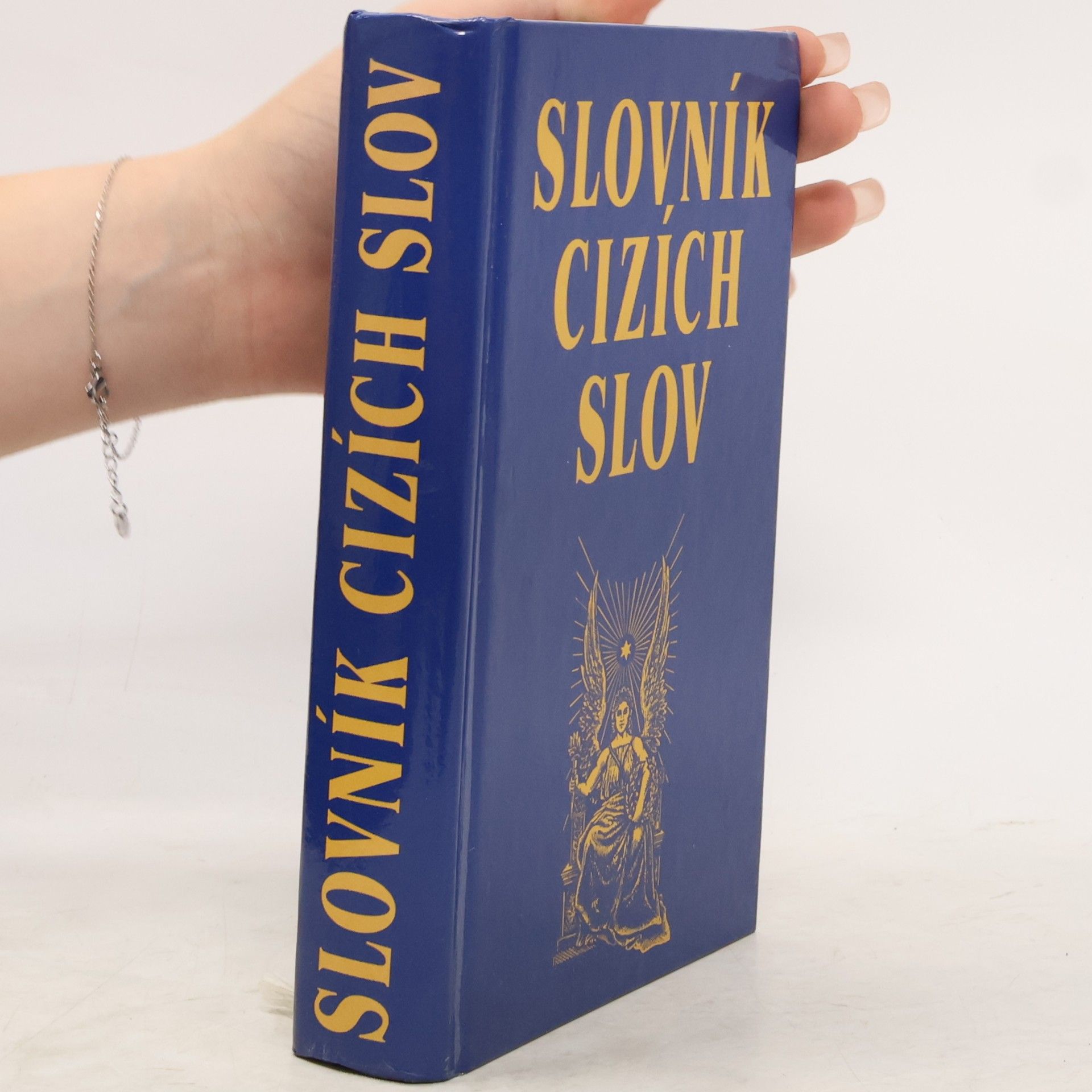 Various authors Slovník cizích slov