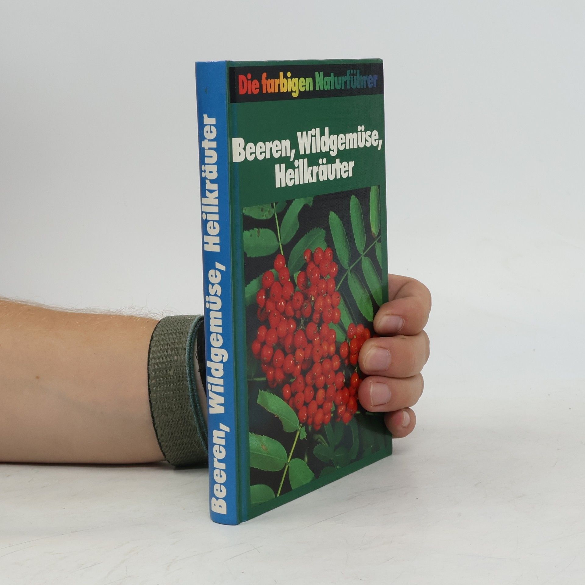 Autorenkollektiv Beeren, Wildgemüse, Heilkräuter
