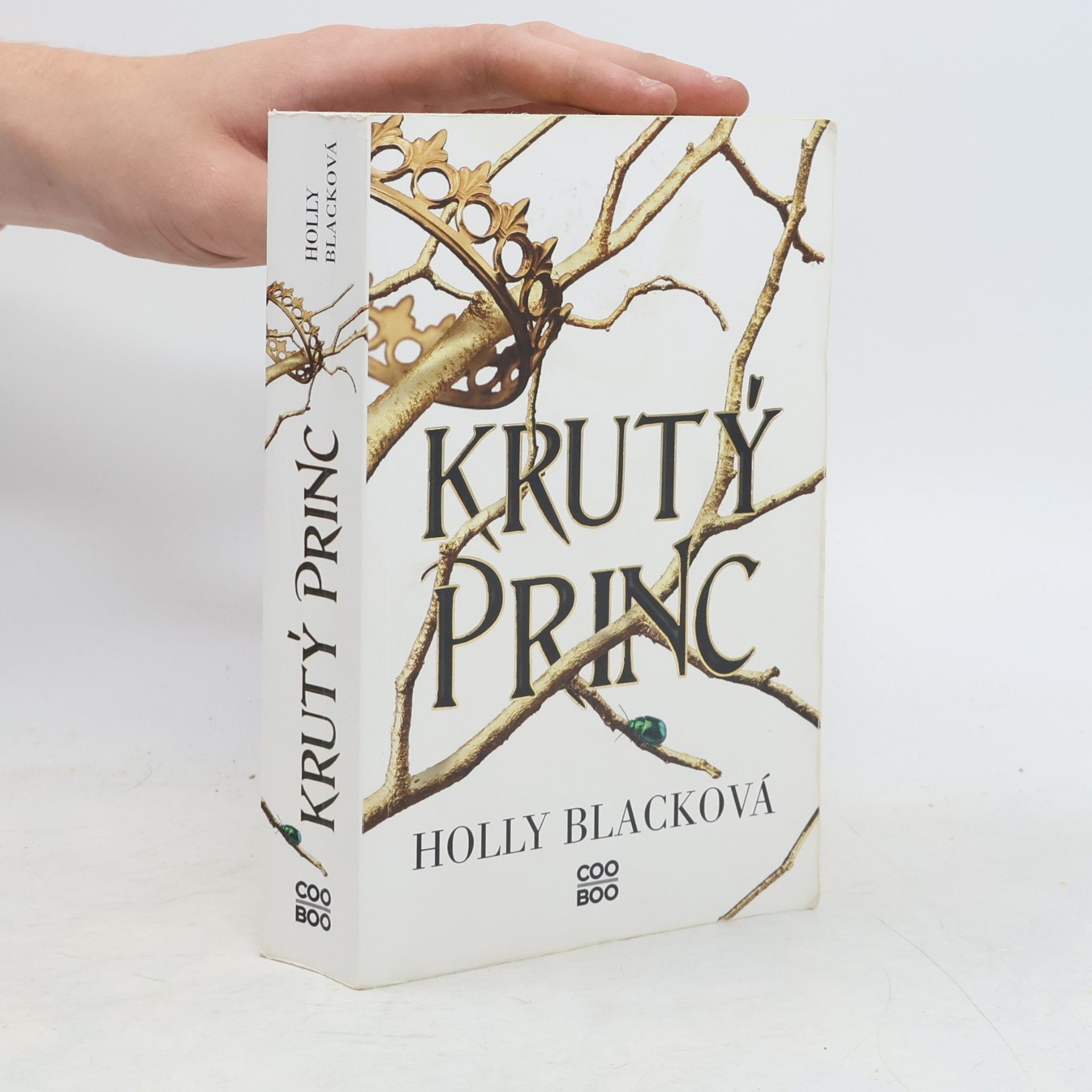 Holly Black Krutý princ