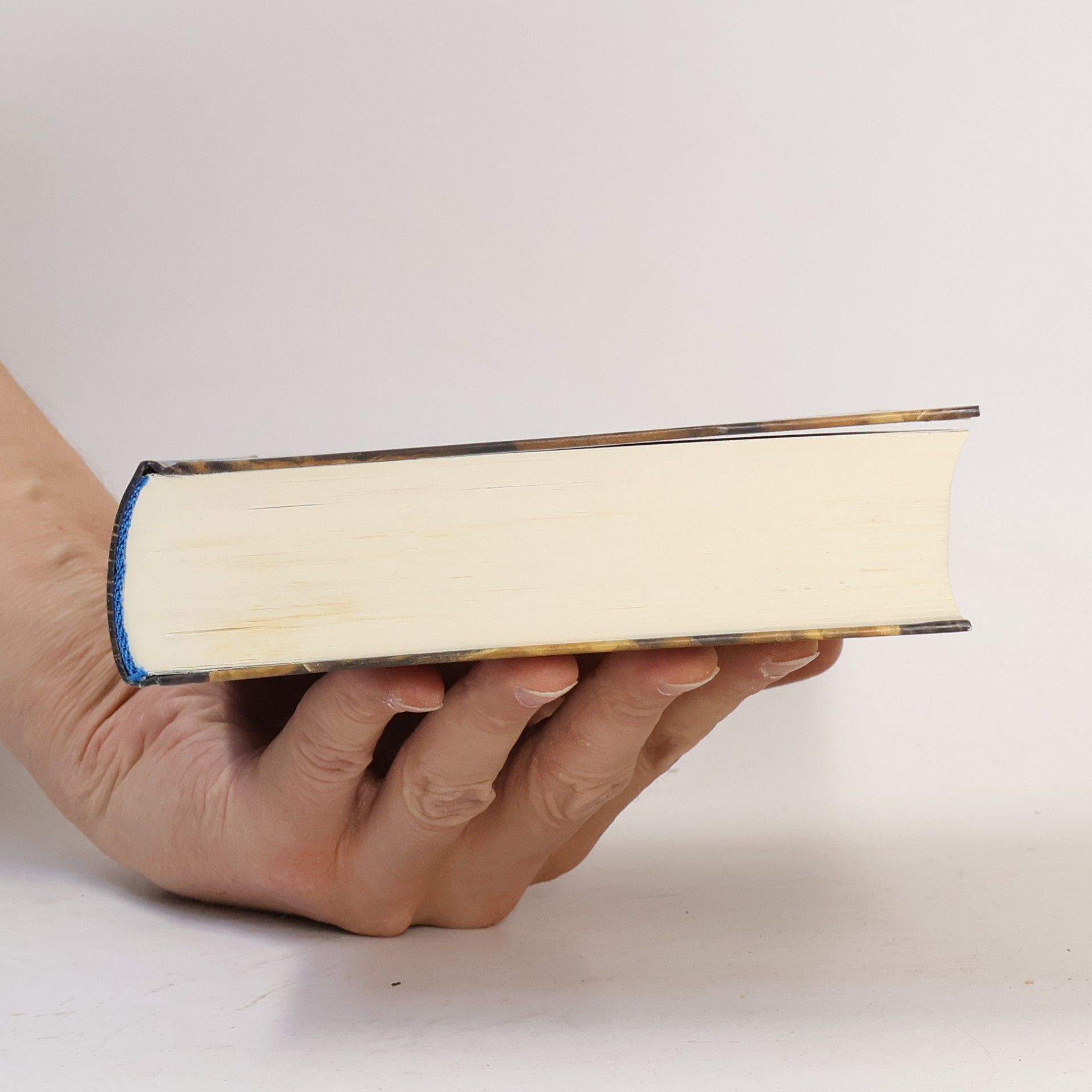 Angie Sage Septimus Heap : Queste