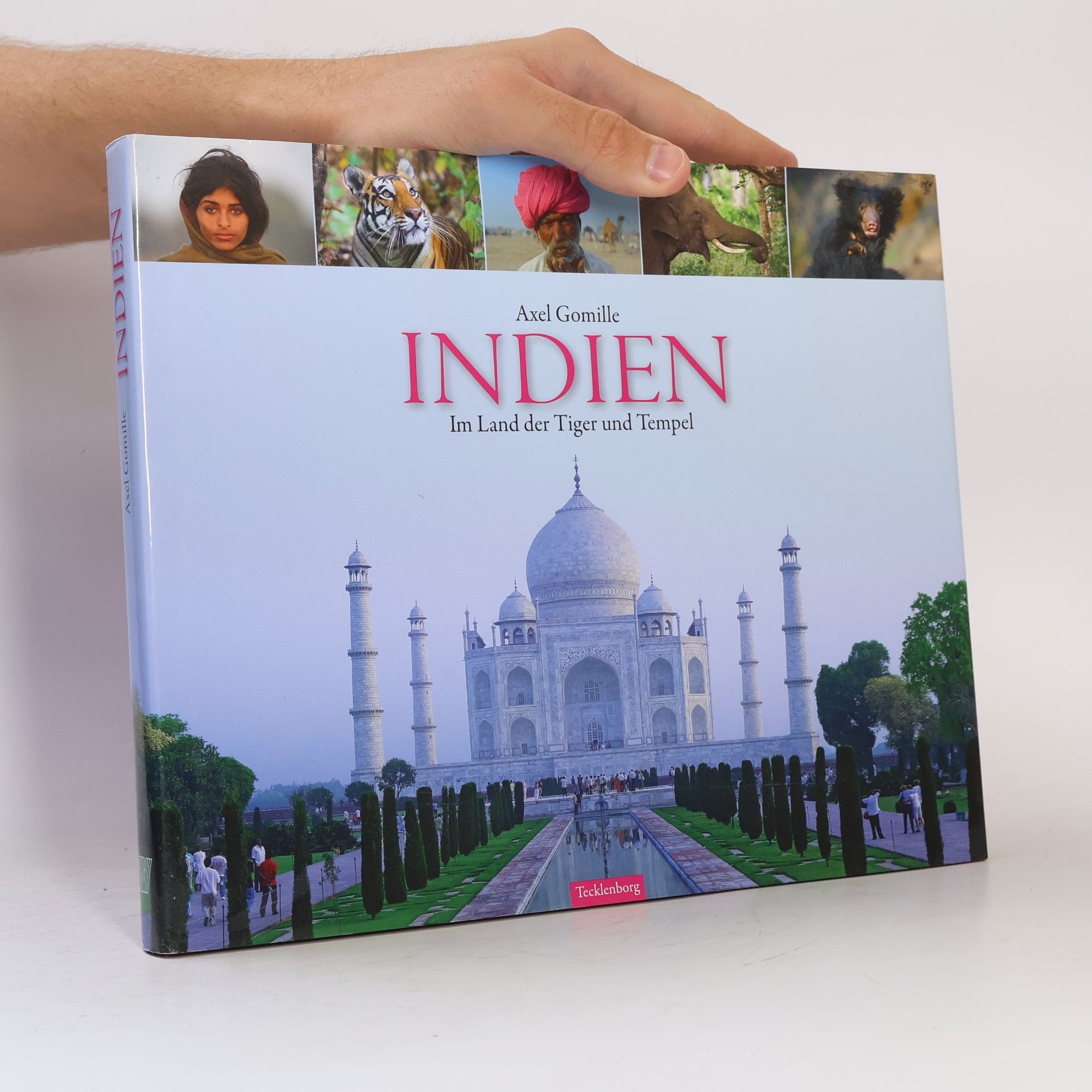 Axel Gomille Indien